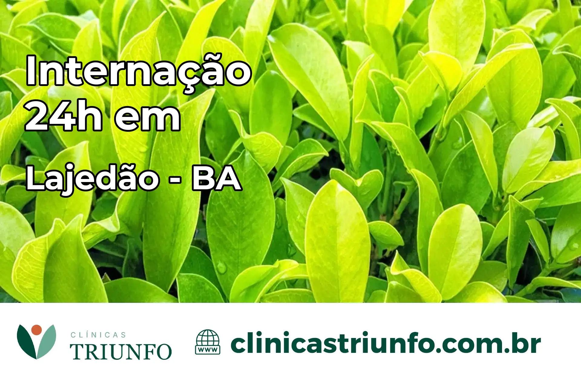 Internação 24 horas em Lajedão – BA