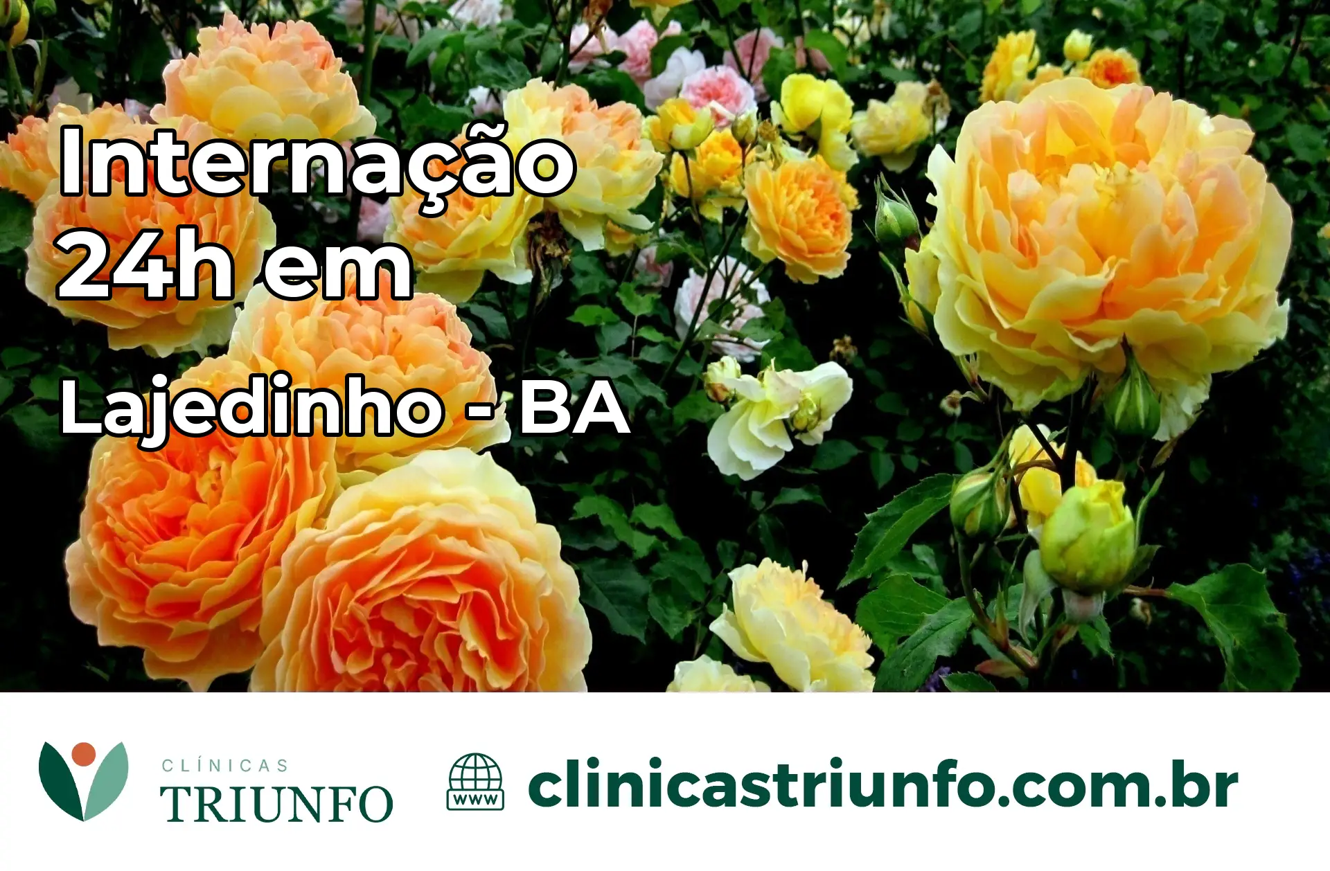 Internação 24 horas em Lajedinho – BA