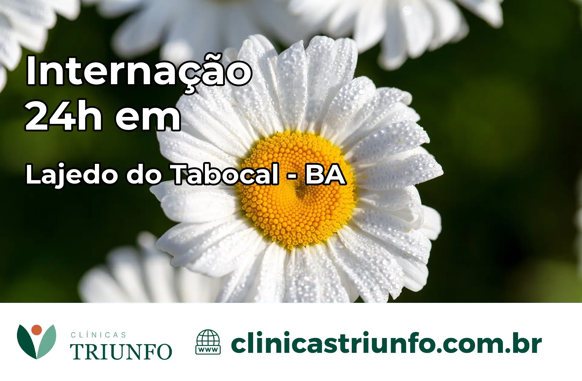 Internação 24 horas em Lajedo do Tabocal – BA