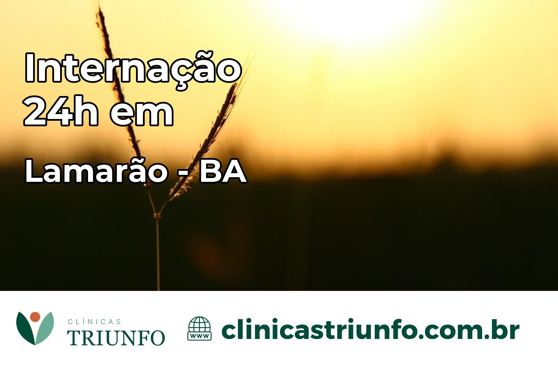 Internação 24 horas em Lamarão – BA