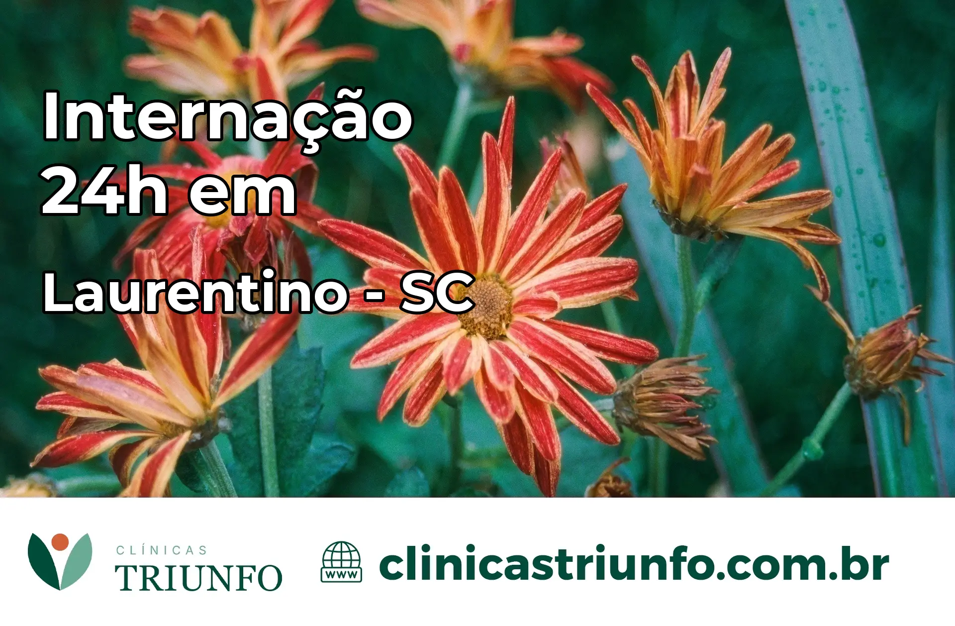 Internação 24 horas em Laurentino – SC