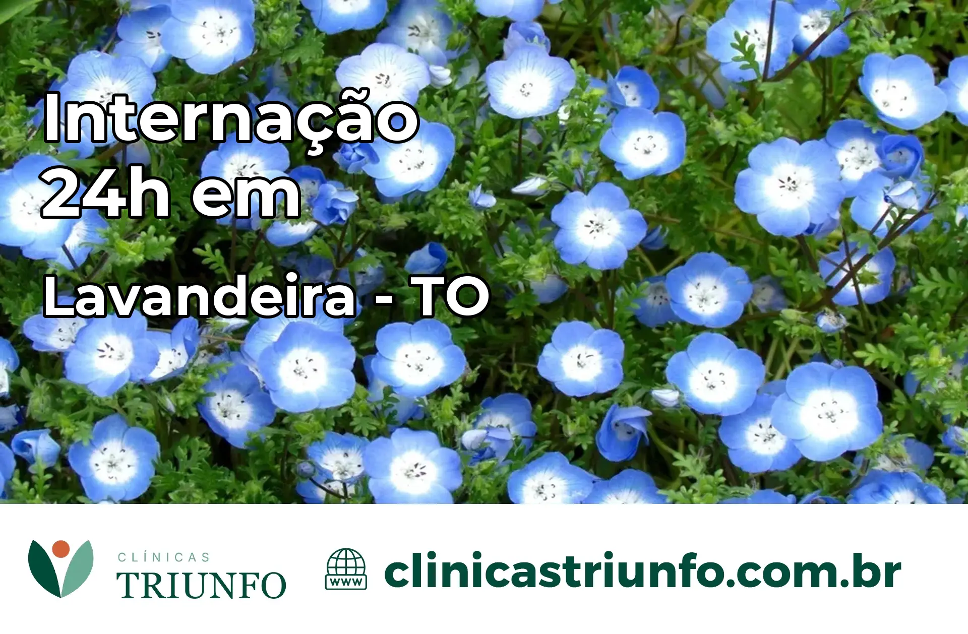 Internação 24 horas em Lavandeira – TO
