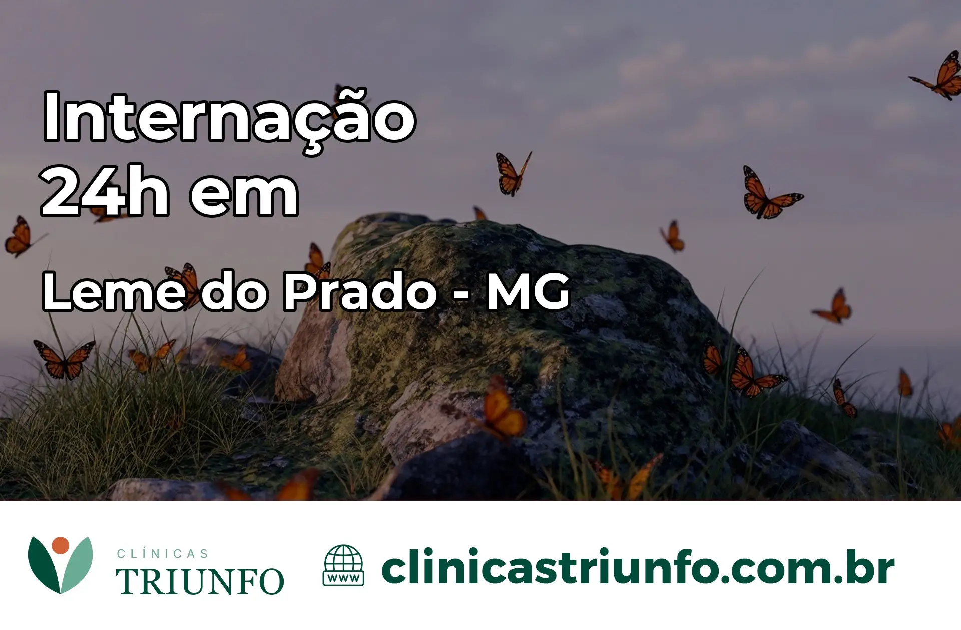Internação 24 horas em Leme do Prado – MG