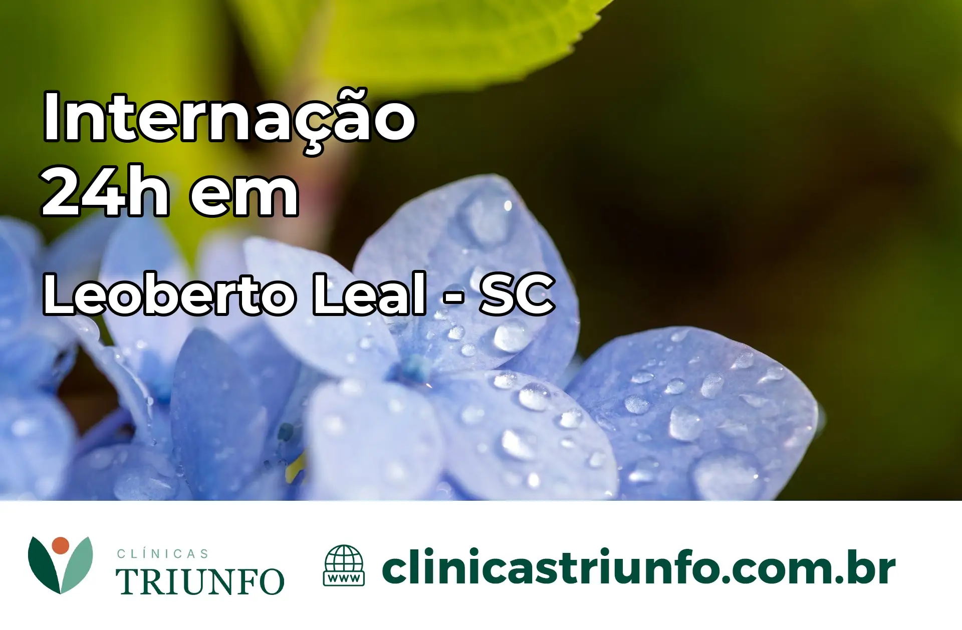 Internação 24 horas em Leoberto Leal – SC