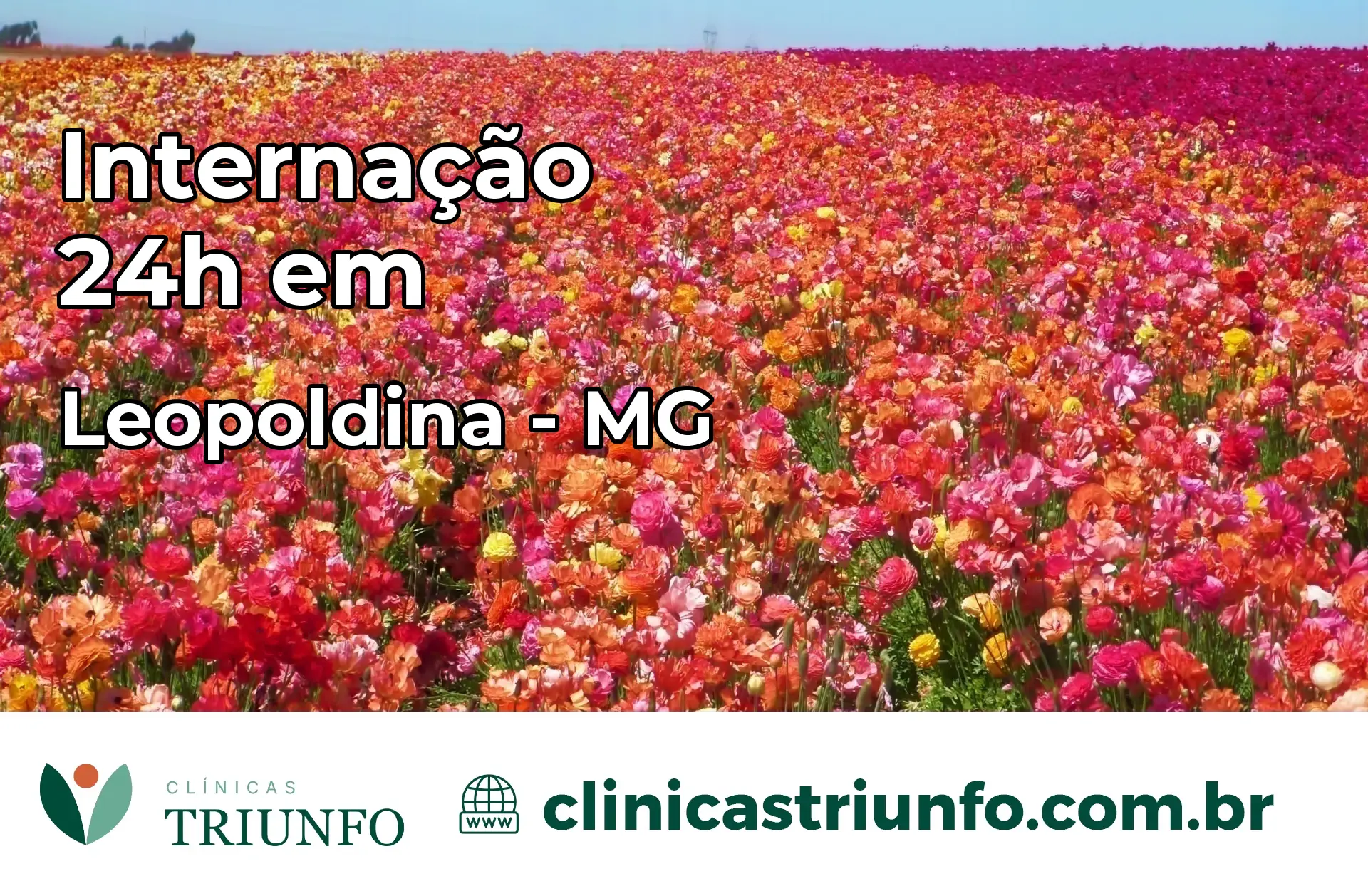 Internação 24 horas em Leopoldina – MG