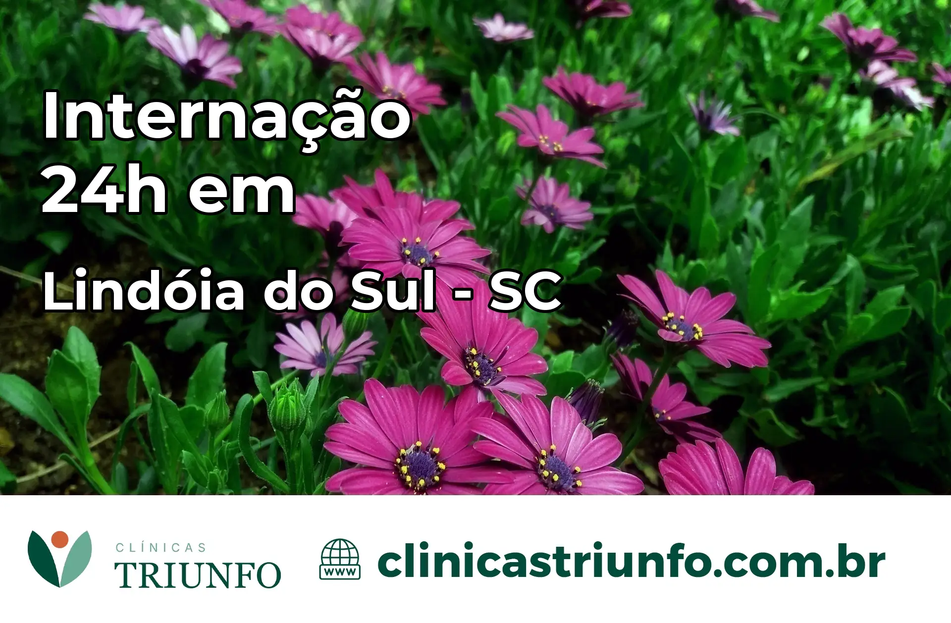 Internação 24 horas em Lindóia do Sul – SC