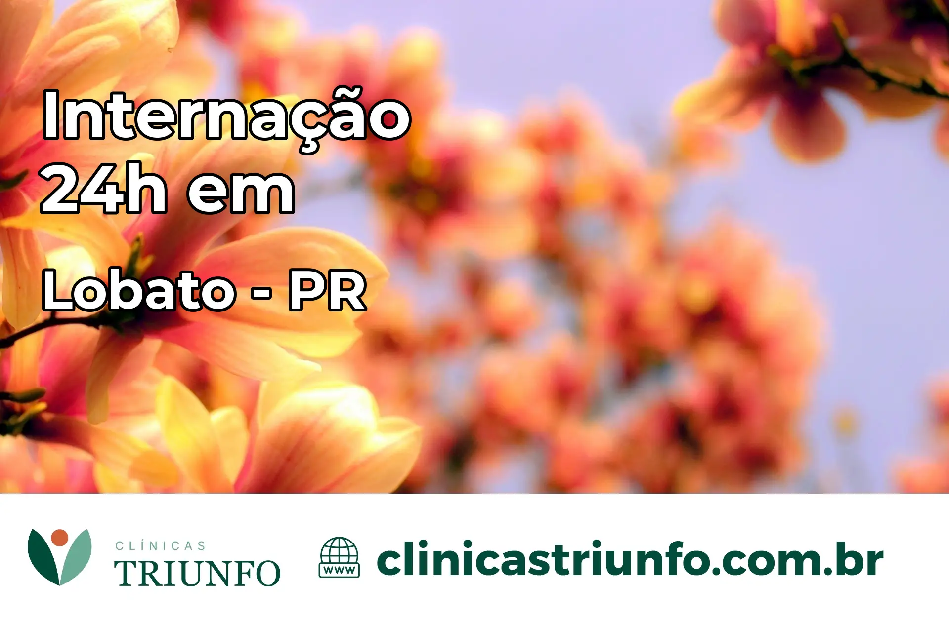 Internação 24 horas em Lobato – PR