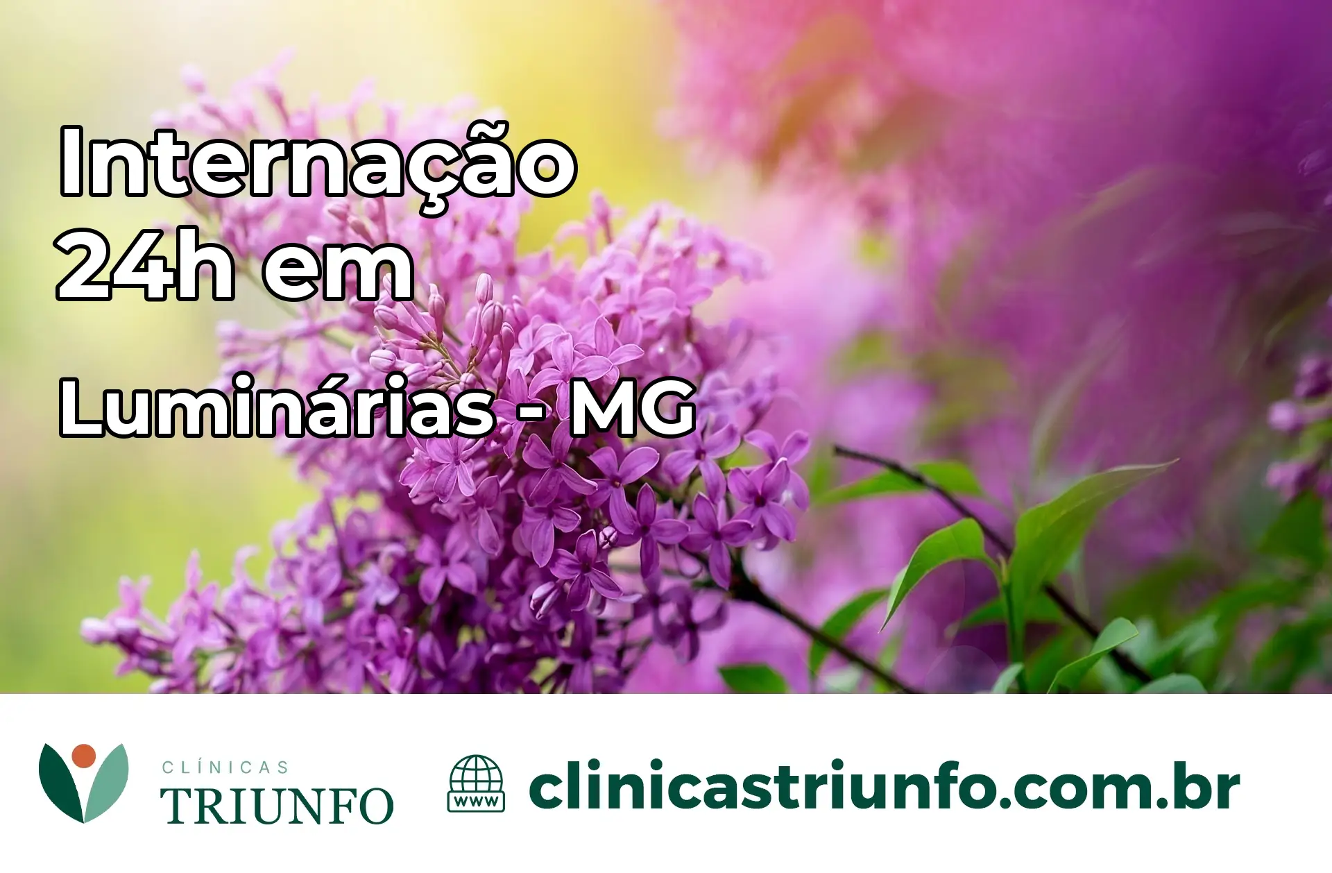 Internação 24 horas em Luminárias – MG