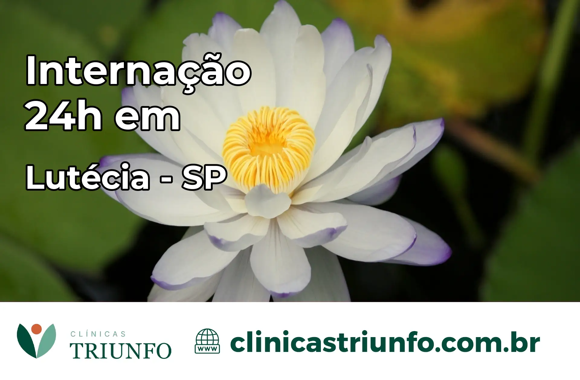 Internação 24 horas em Lutécia – SP