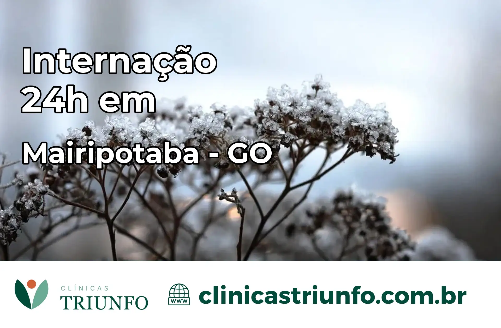 Internação 24 horas em Mairipotaba – GO
