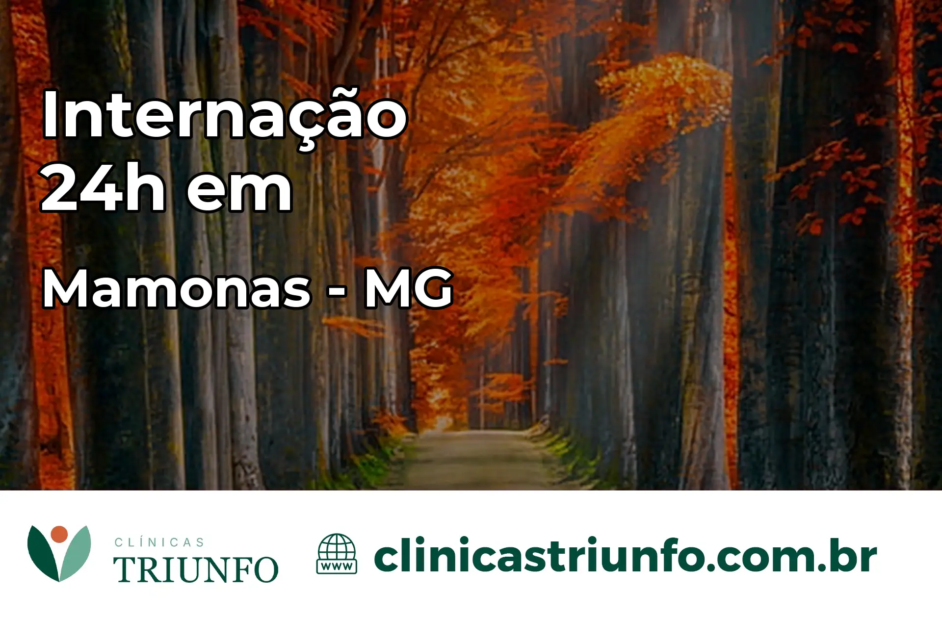Internação 24 horas em Mamonas – MG