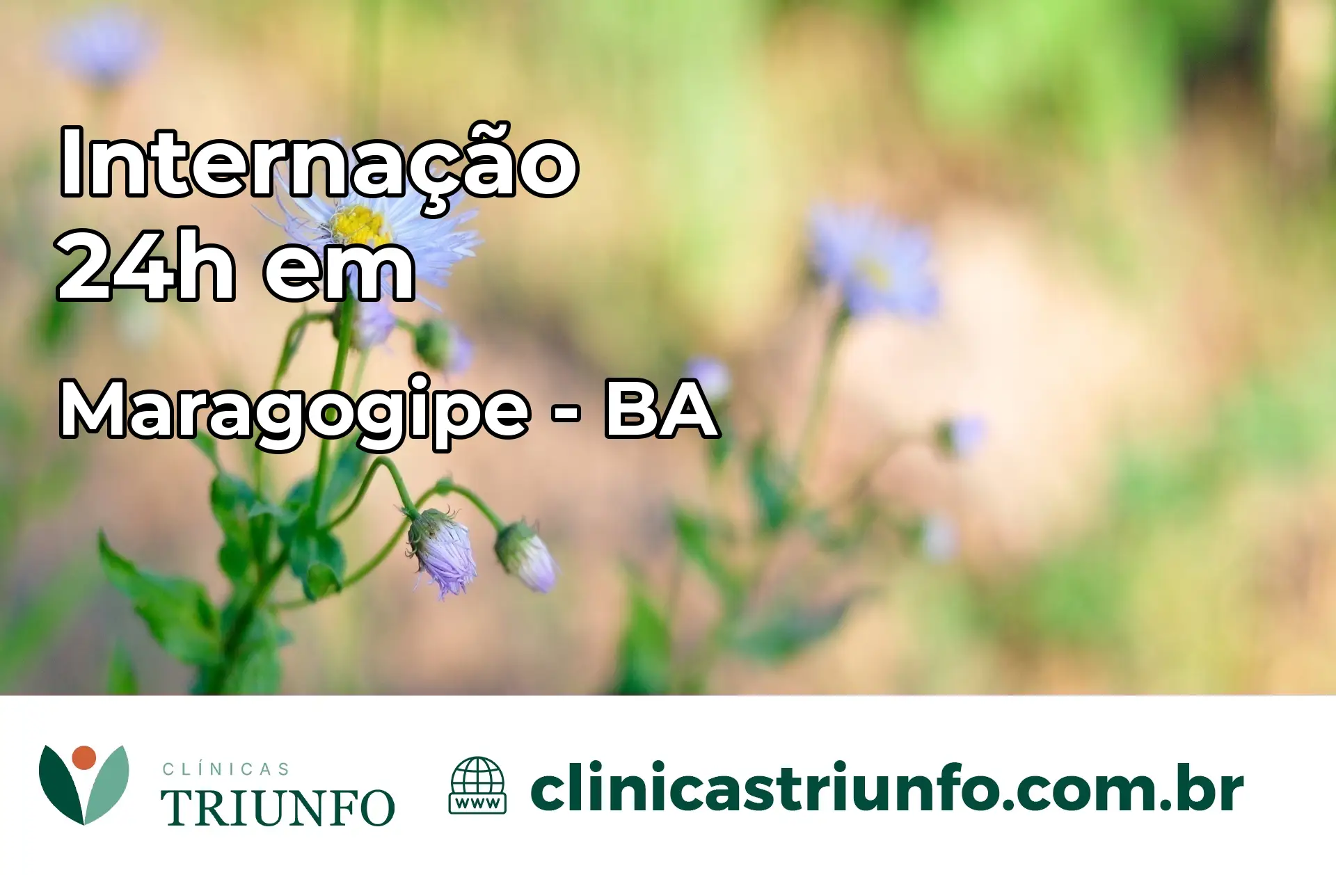 Internação 24 horas em Maragogipe – BA