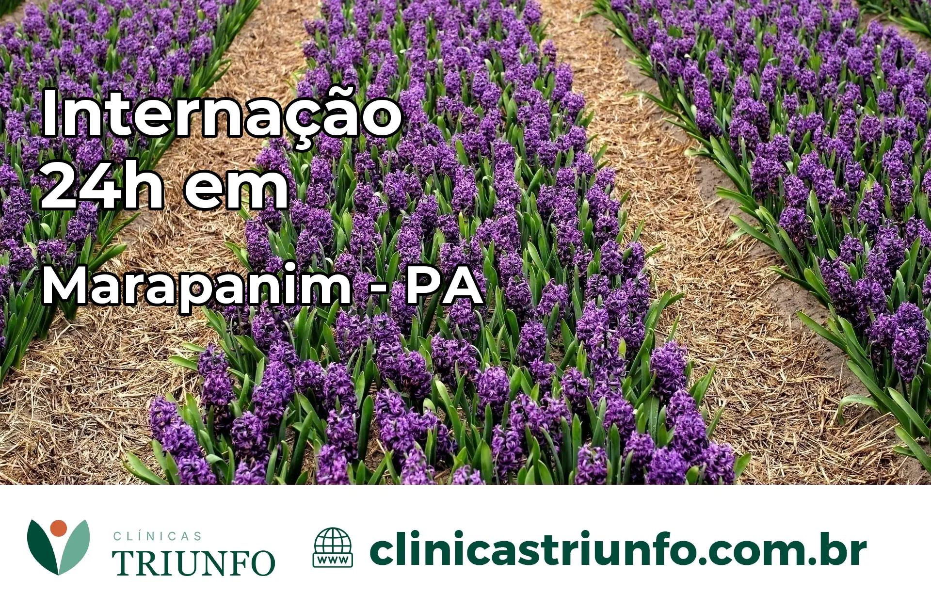 Internação 24 horas em Marapanim – PA