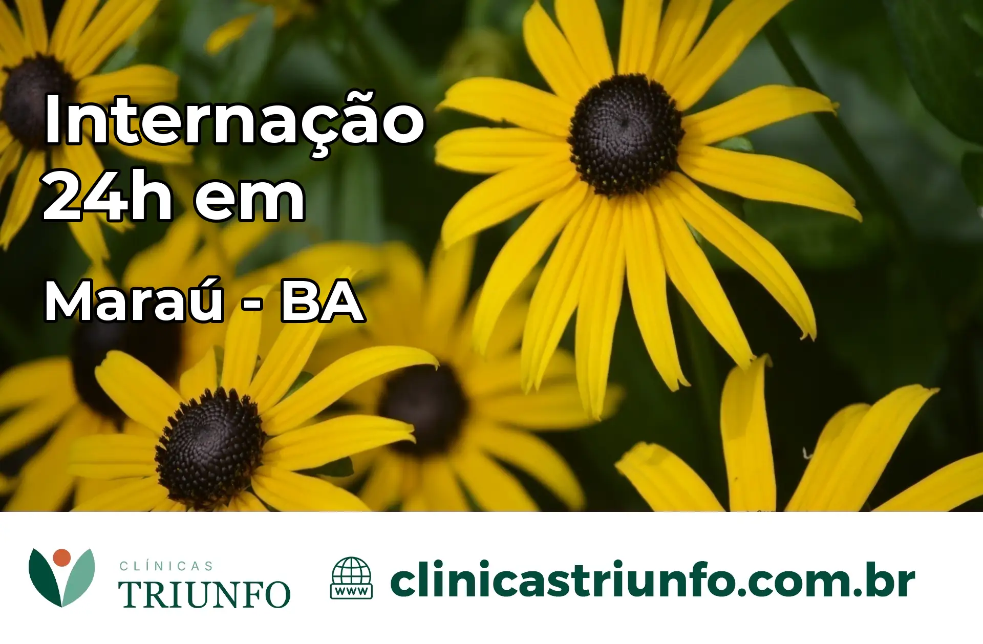 Internação 24 horas em Maraú – BA