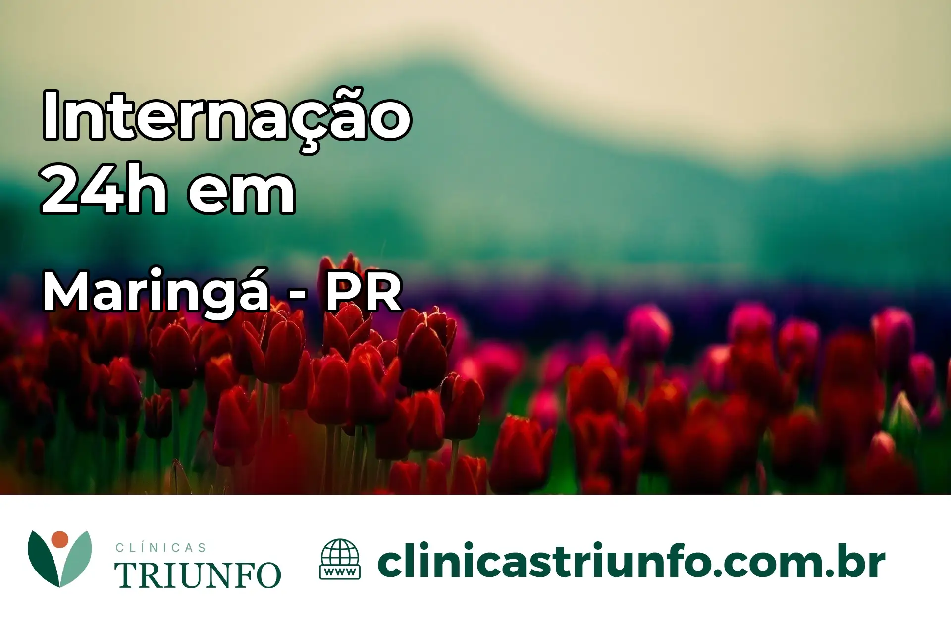 Internação 24 horas em Maringá – PR