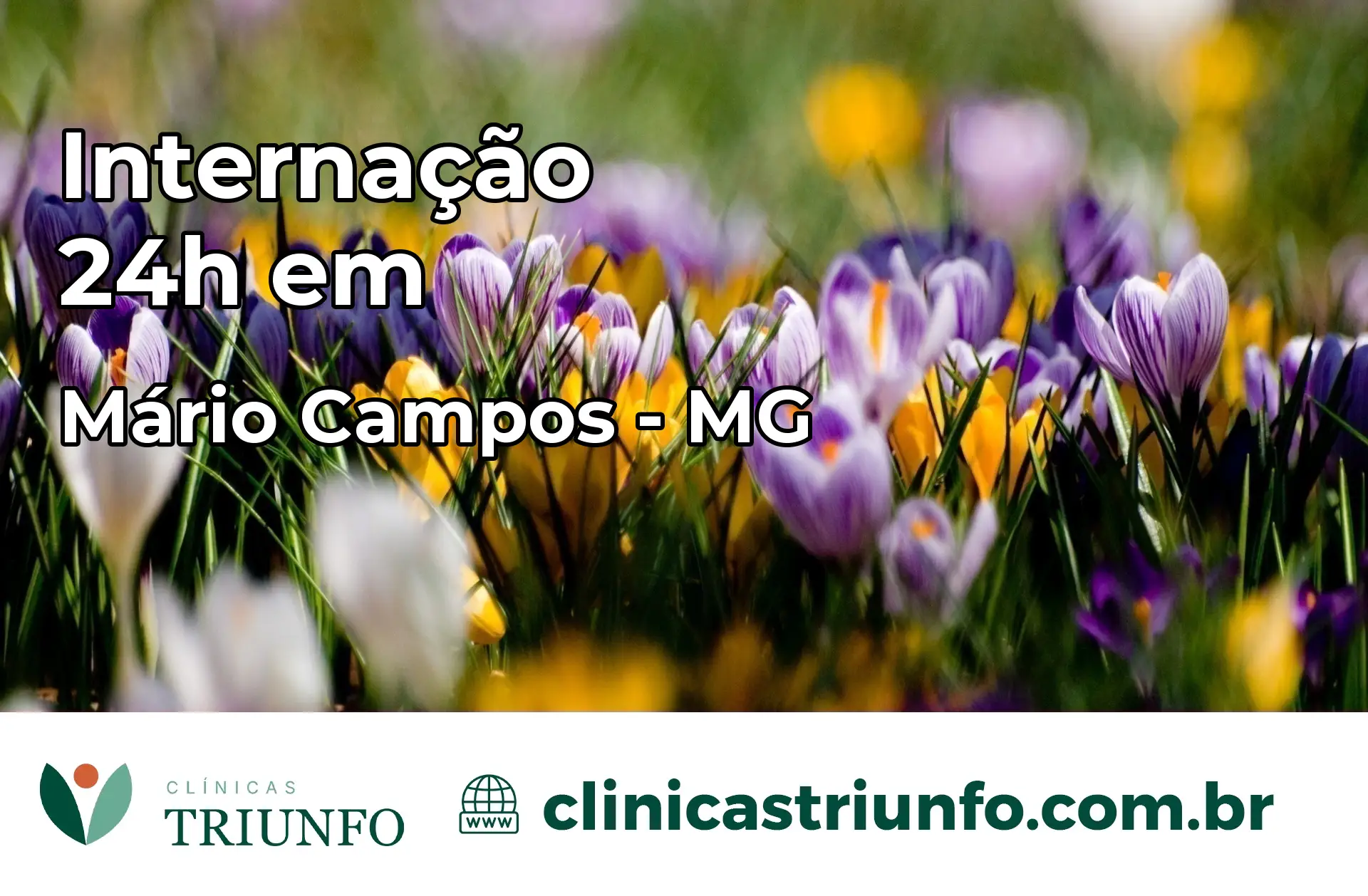 Internação 24 horas em Mário Campos – MG