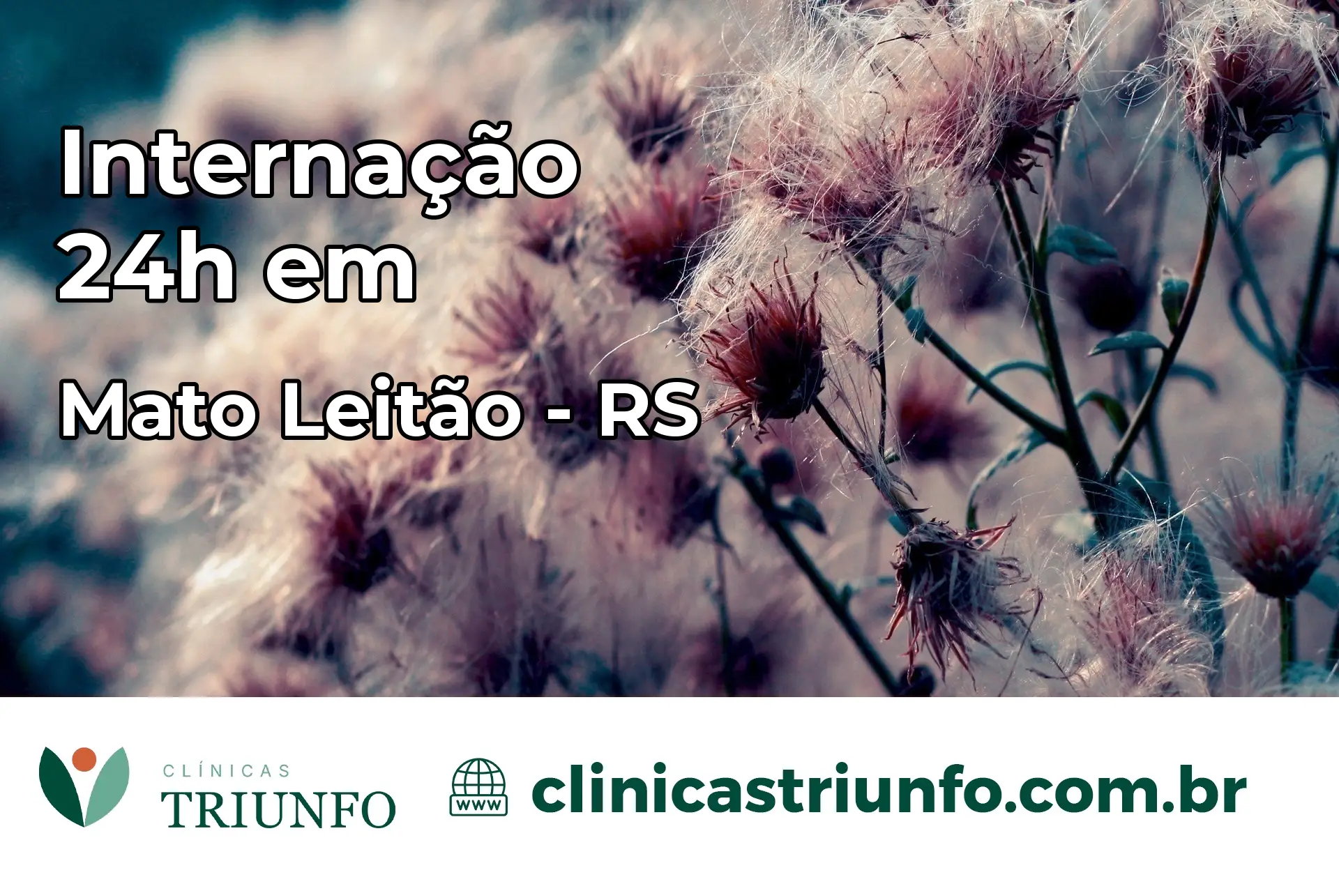 Internação 24 horas em Mato Leitão – RS