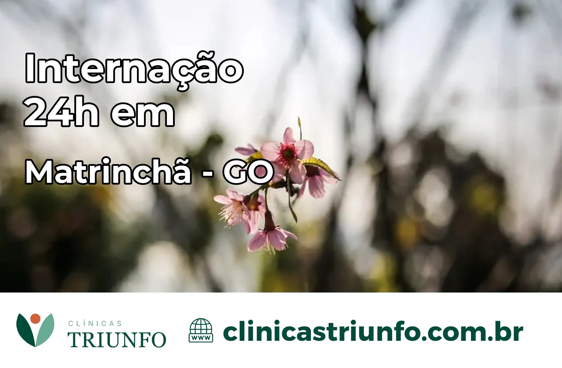 Internação 24 horas em Matrinchã – GO