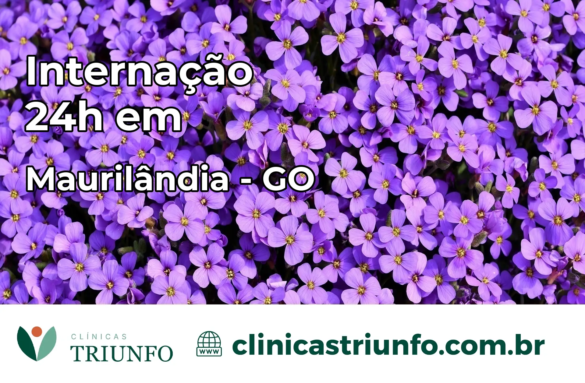 Internação 24 horas em Maurilândia – GO