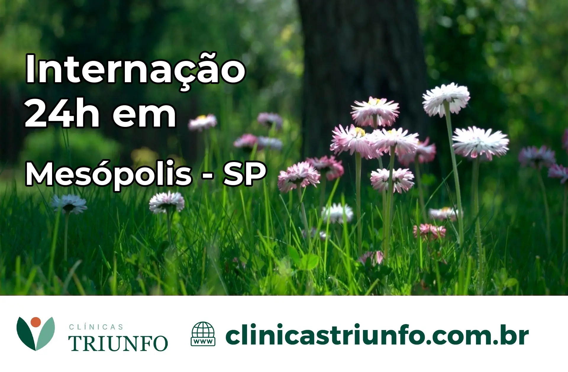 Internação 24 horas em Mesópolis – SP