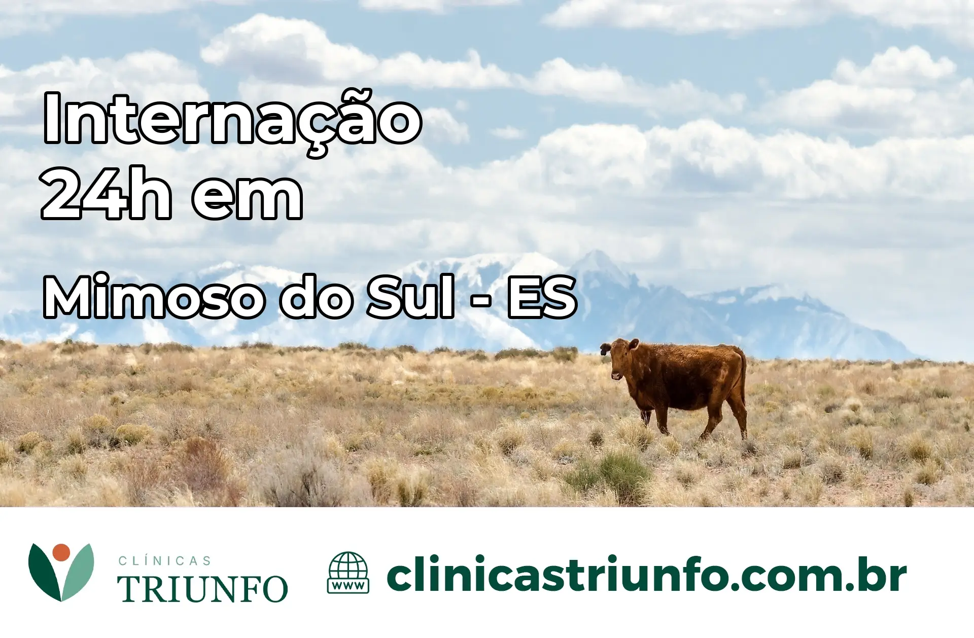 Internação 24 horas em Mimoso do Sul – ES