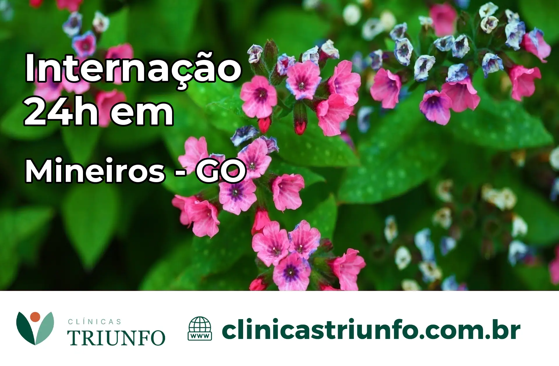 Internação 24 horas em Mineiros – GO