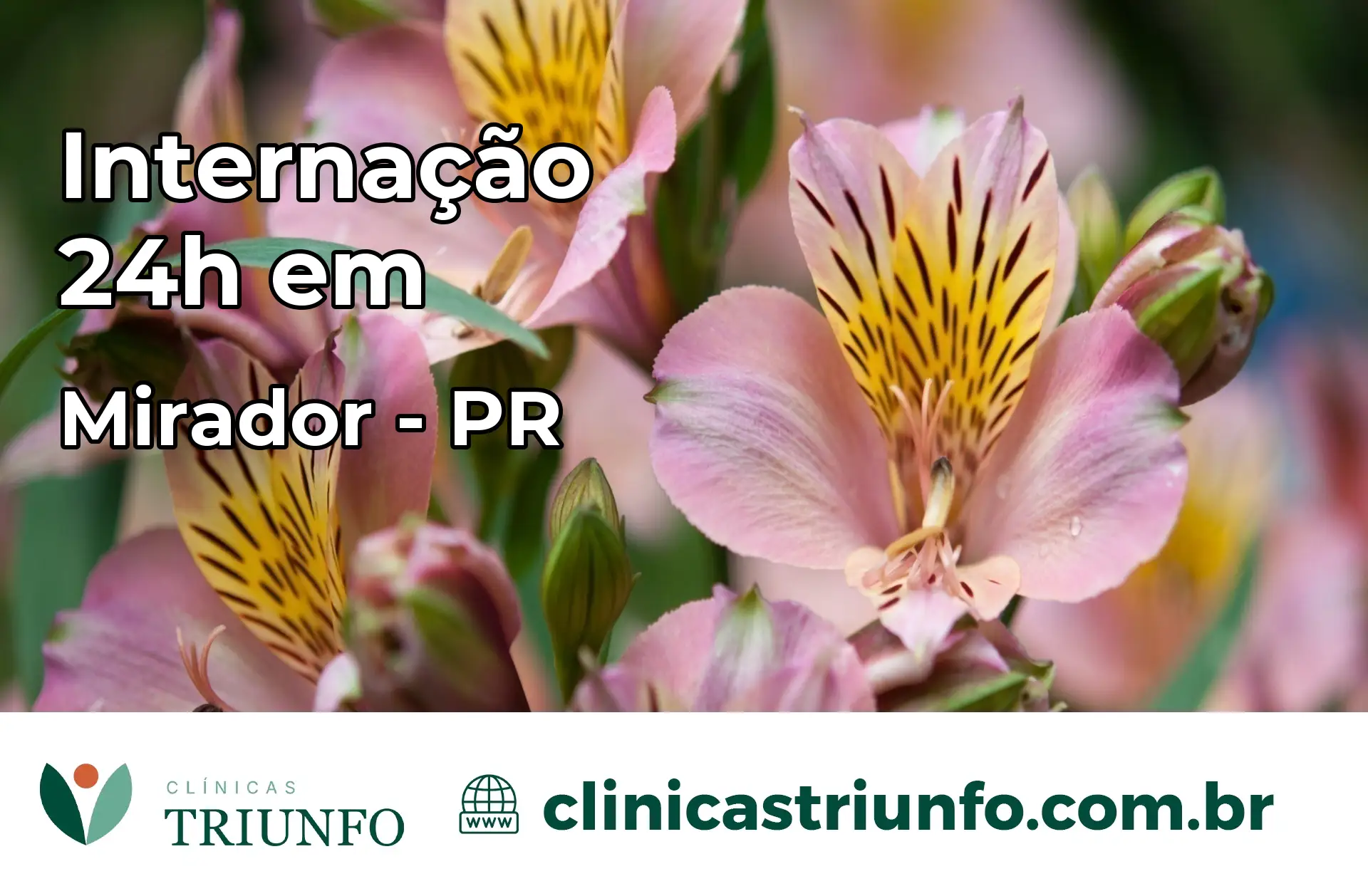 Internação 24 horas em Mirador – PR