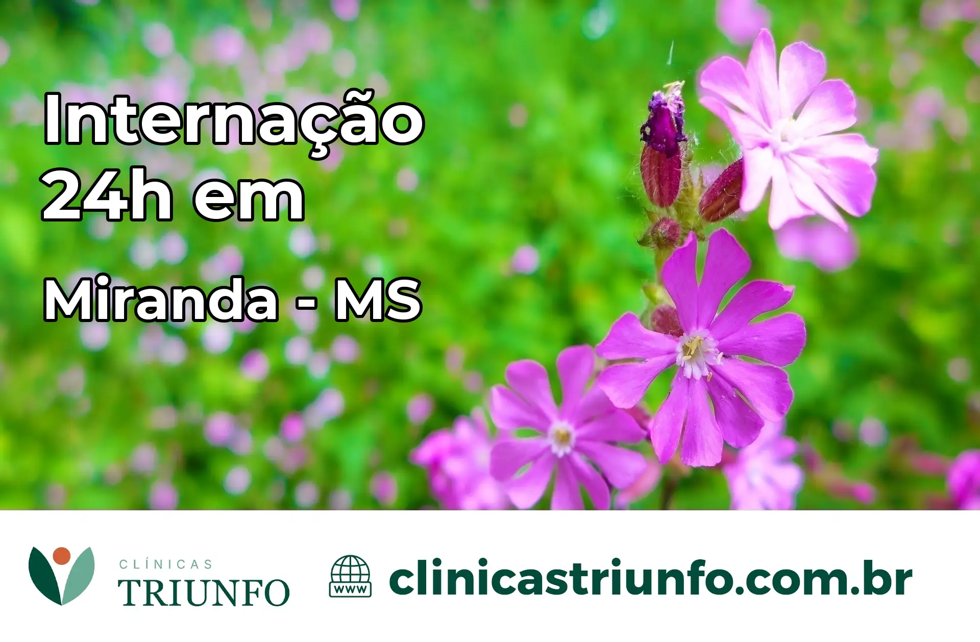 Internação 24 horas em Miranda – MS