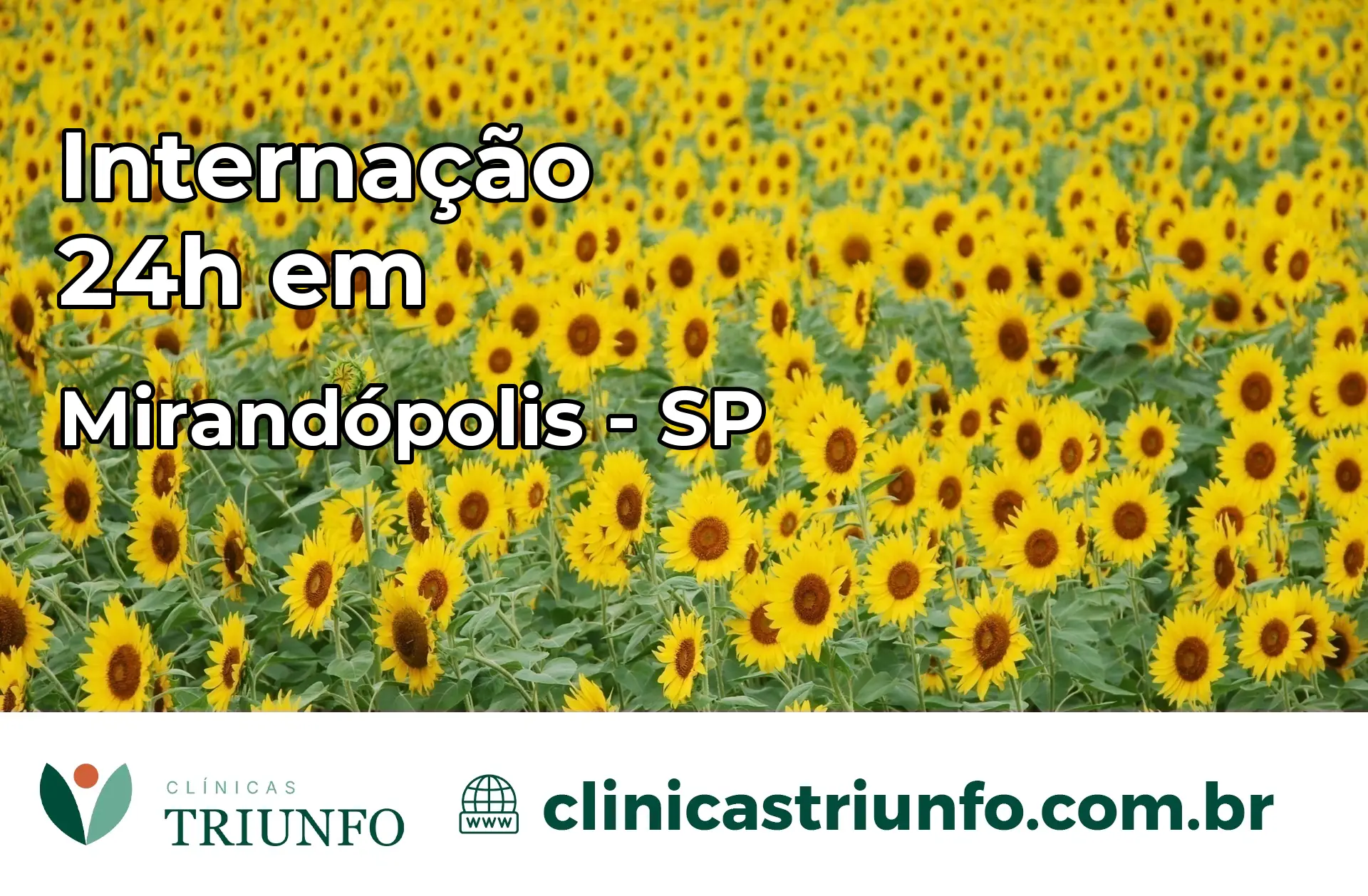 Internação 24 horas em Mirandópolis – SP