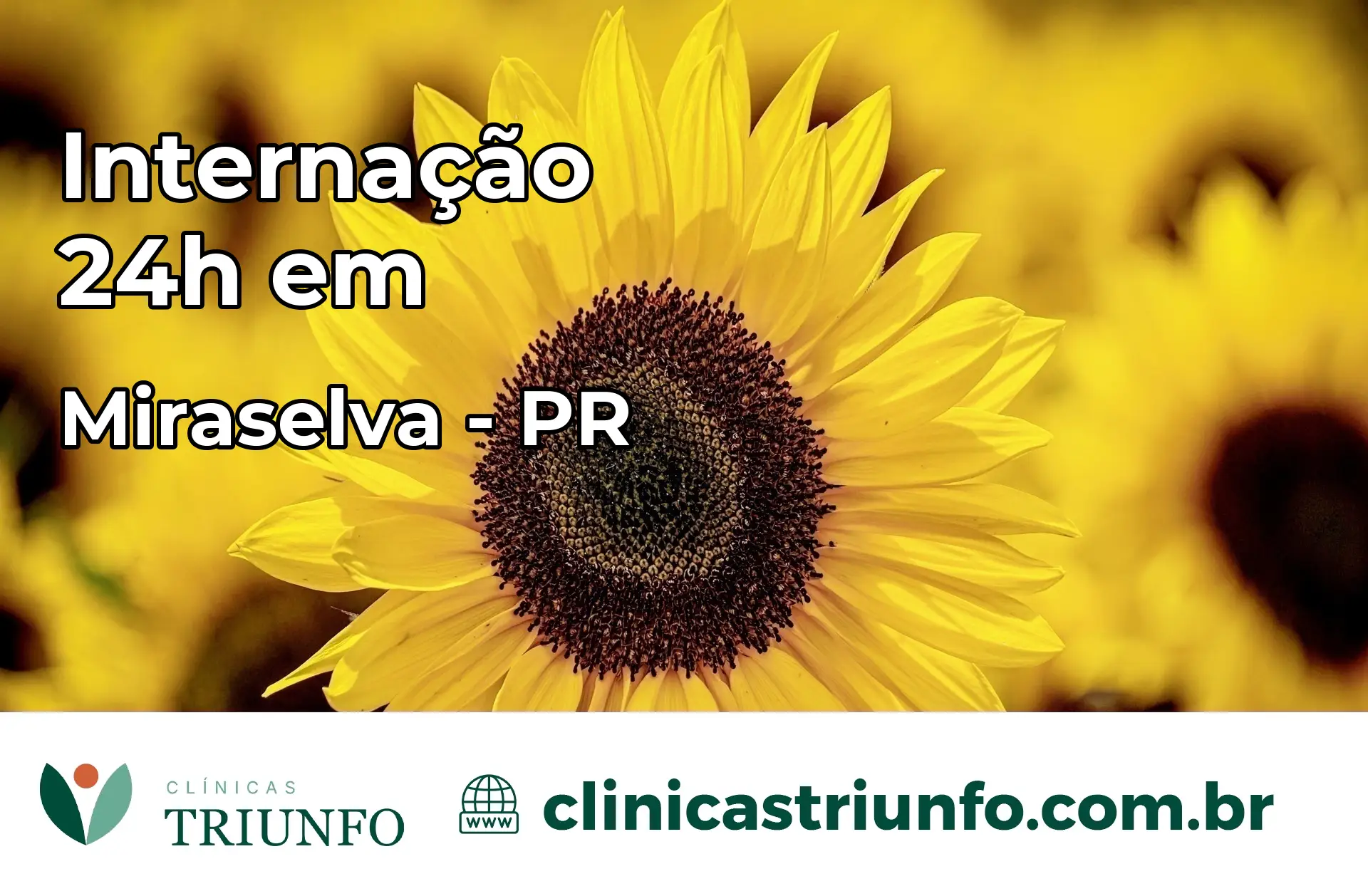 Internação 24 horas em Miraselva – PR