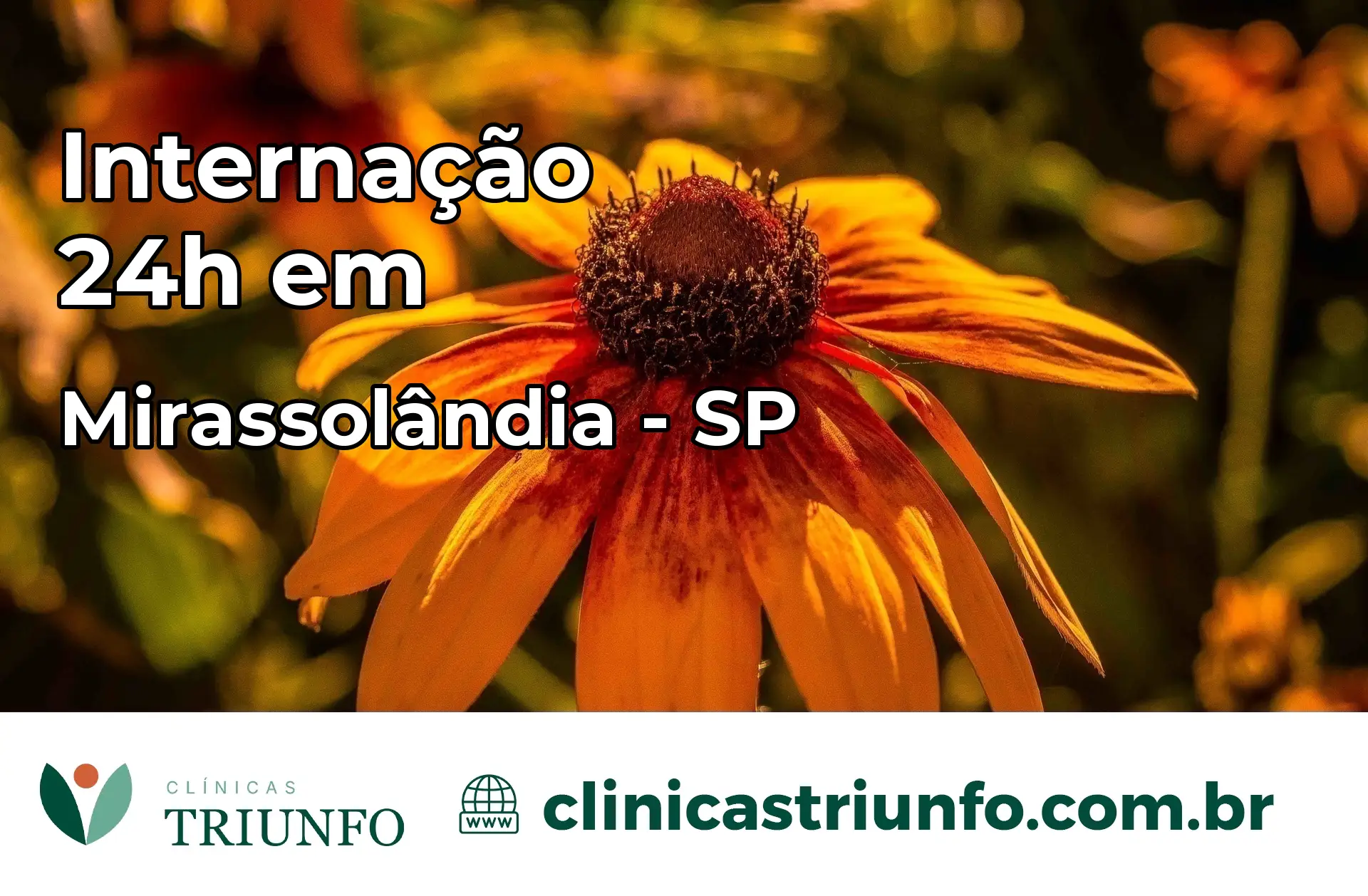 Internação 24 horas em Mirassolândia – SP