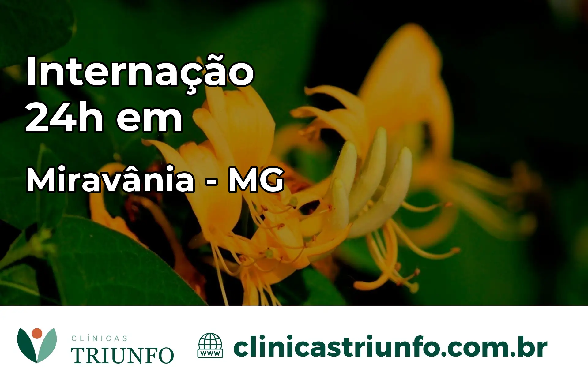 Internação 24 horas em Miravânia – MG