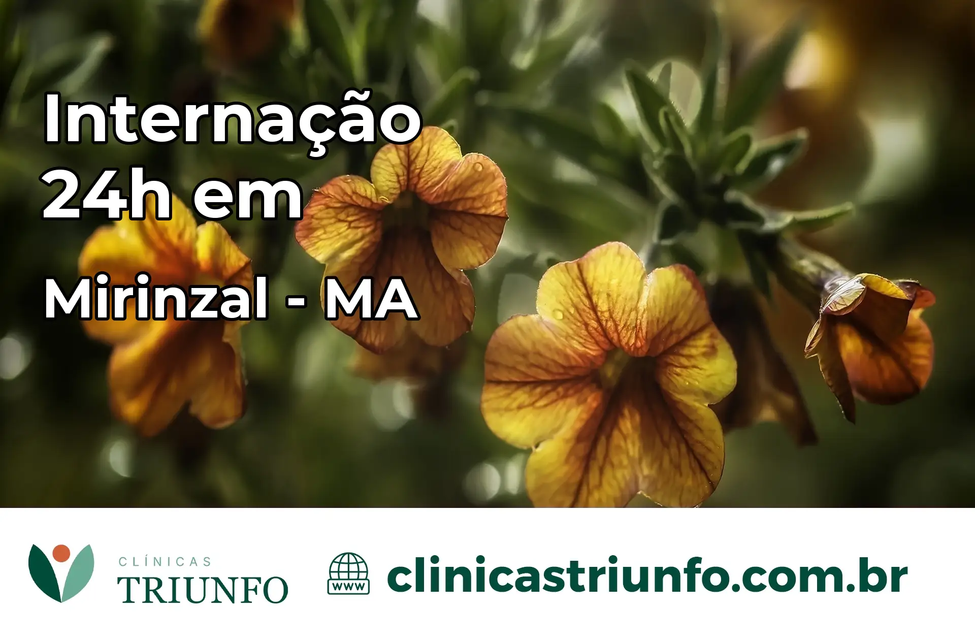 Internação 24 horas em Mirinzal – MA