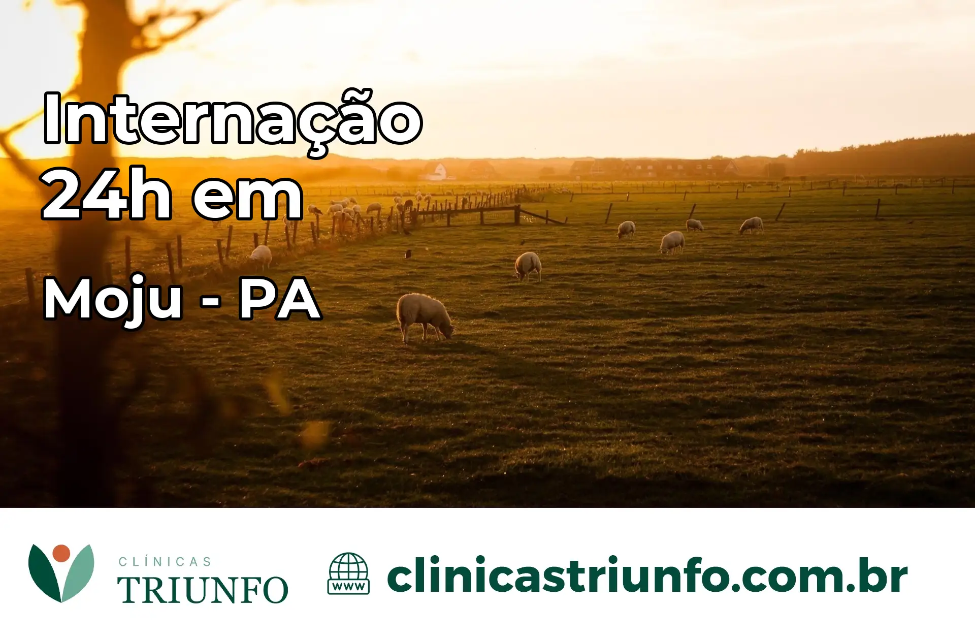 Internação 24 horas em Moju – PA