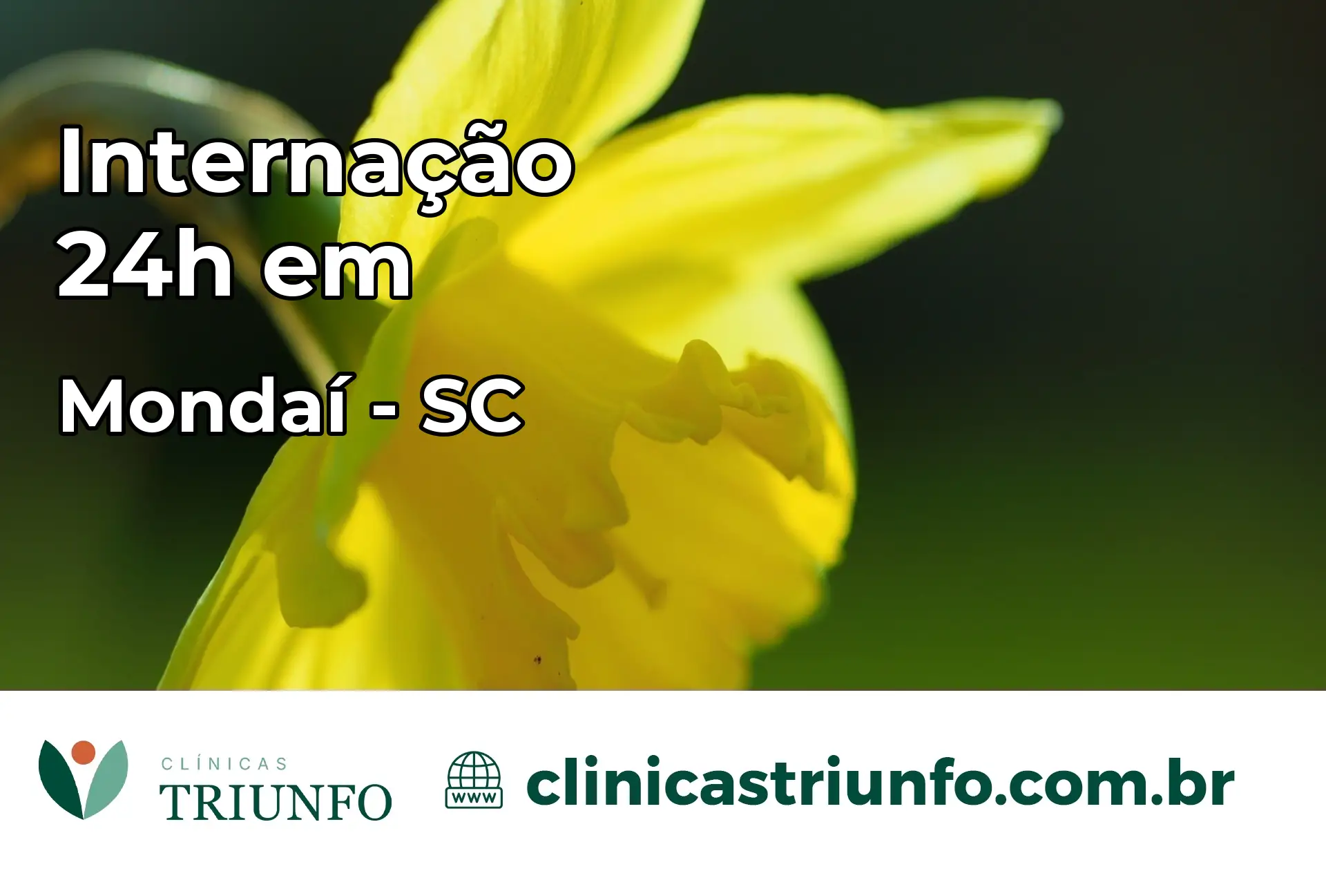 Internação 24 horas em Mondaí – SC