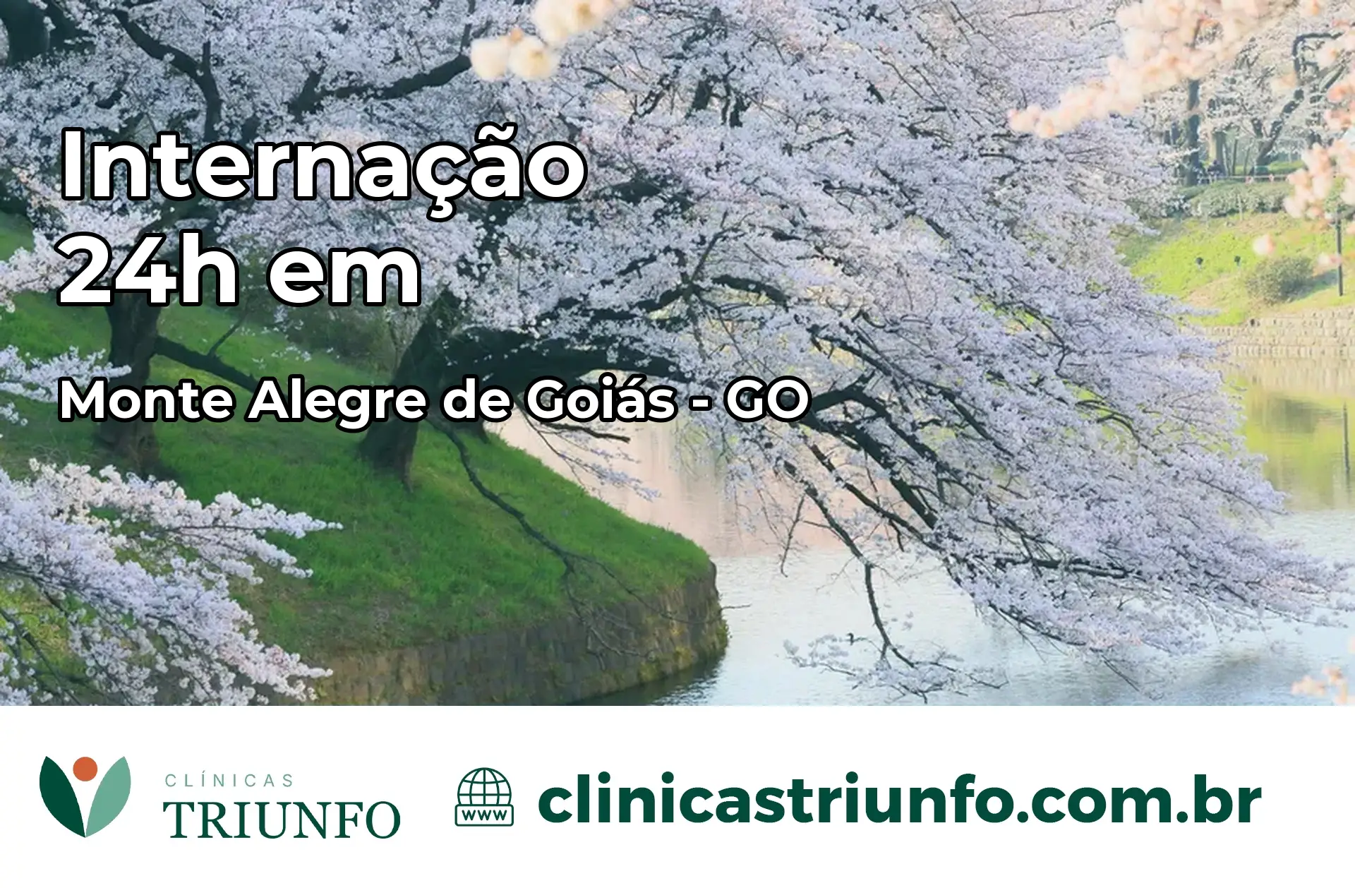 Internação 24 horas em Monte Alegre de Goiás – GO