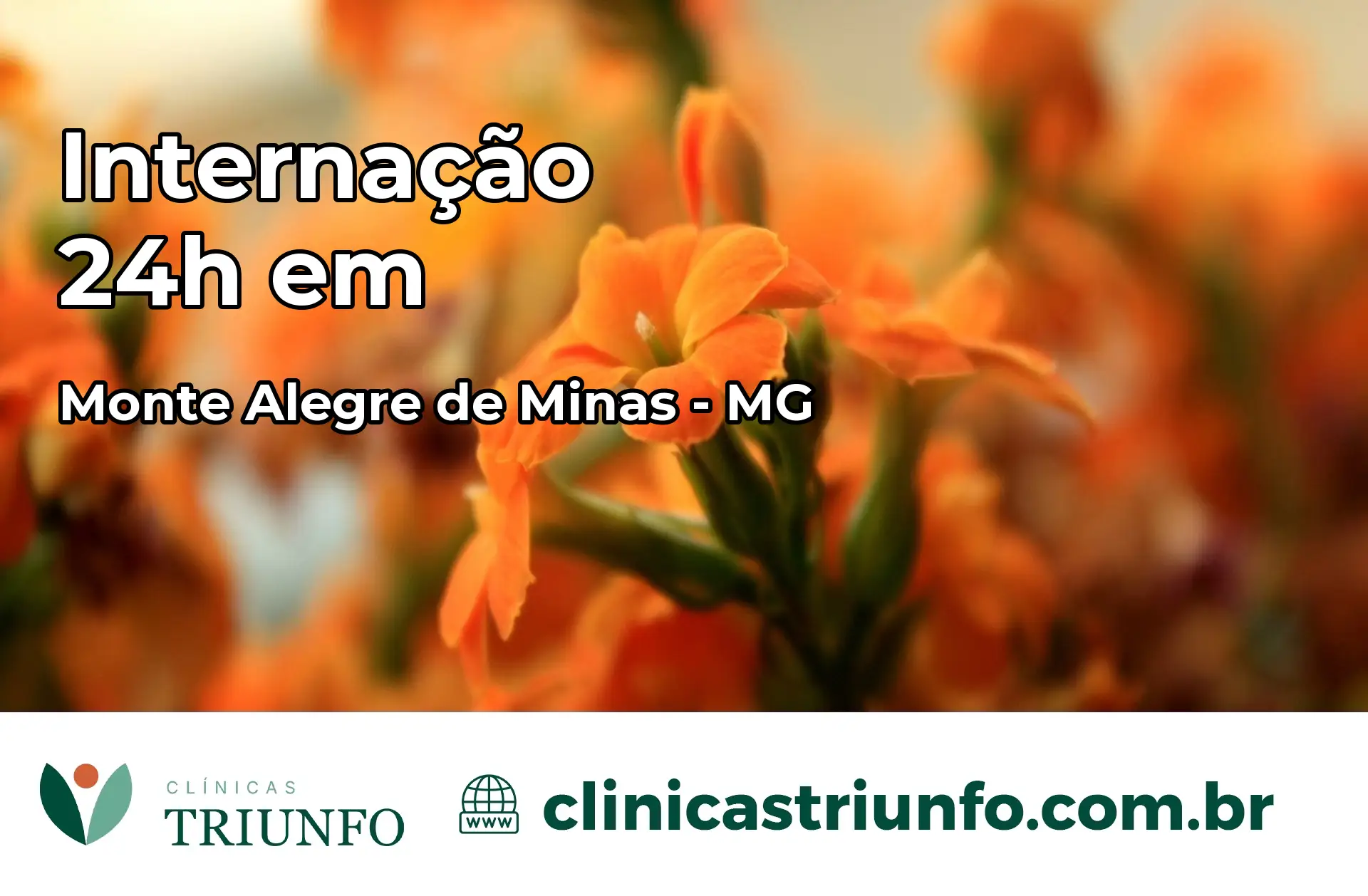 Internação 24 horas em Monte Alegre de Minas – MG