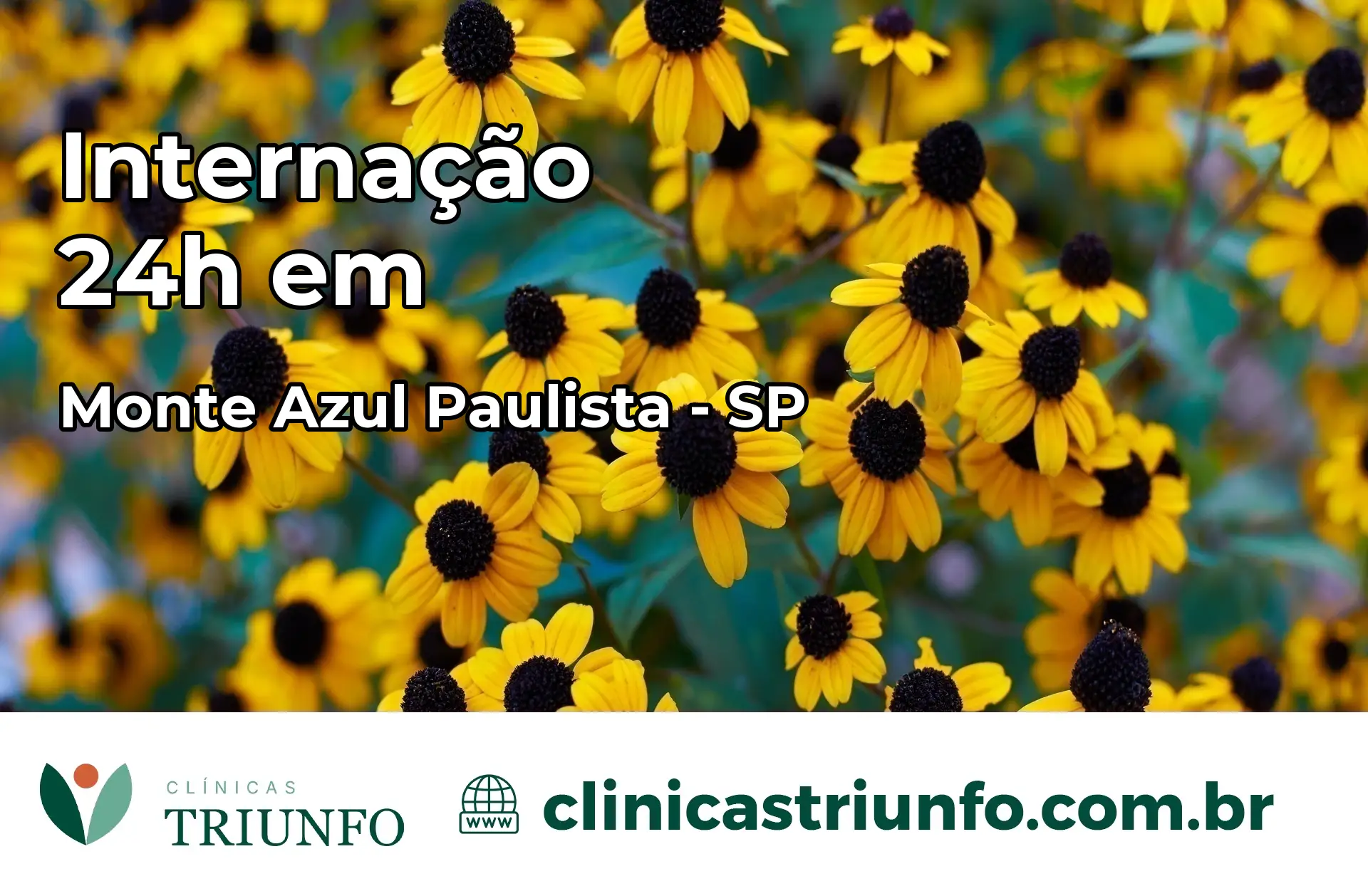 Internação 24 horas em Monte Azul Paulista – SP