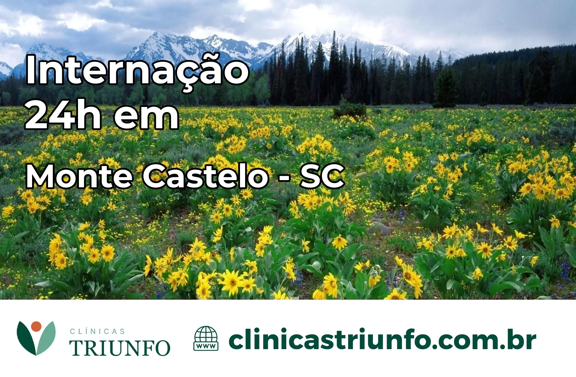 Internação 24 horas em Monte Castelo – SC