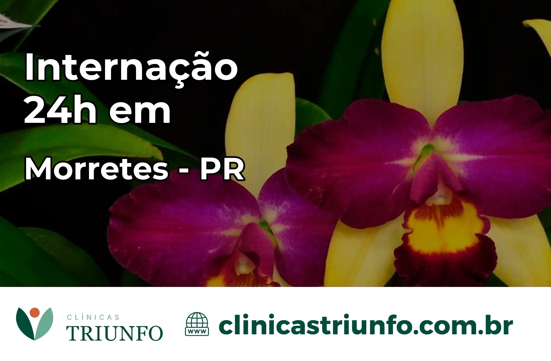 Internação 24 horas em Morretes – PR