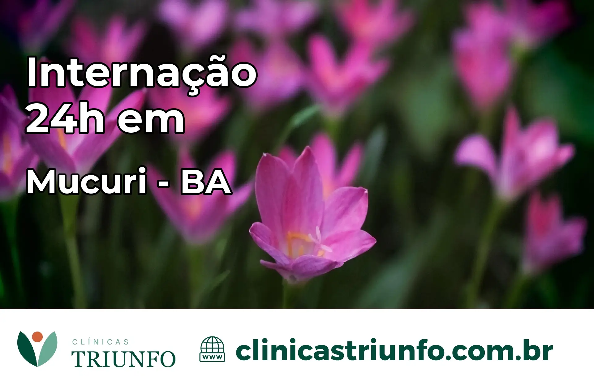 Internação 24 horas em Mucuri – BA
