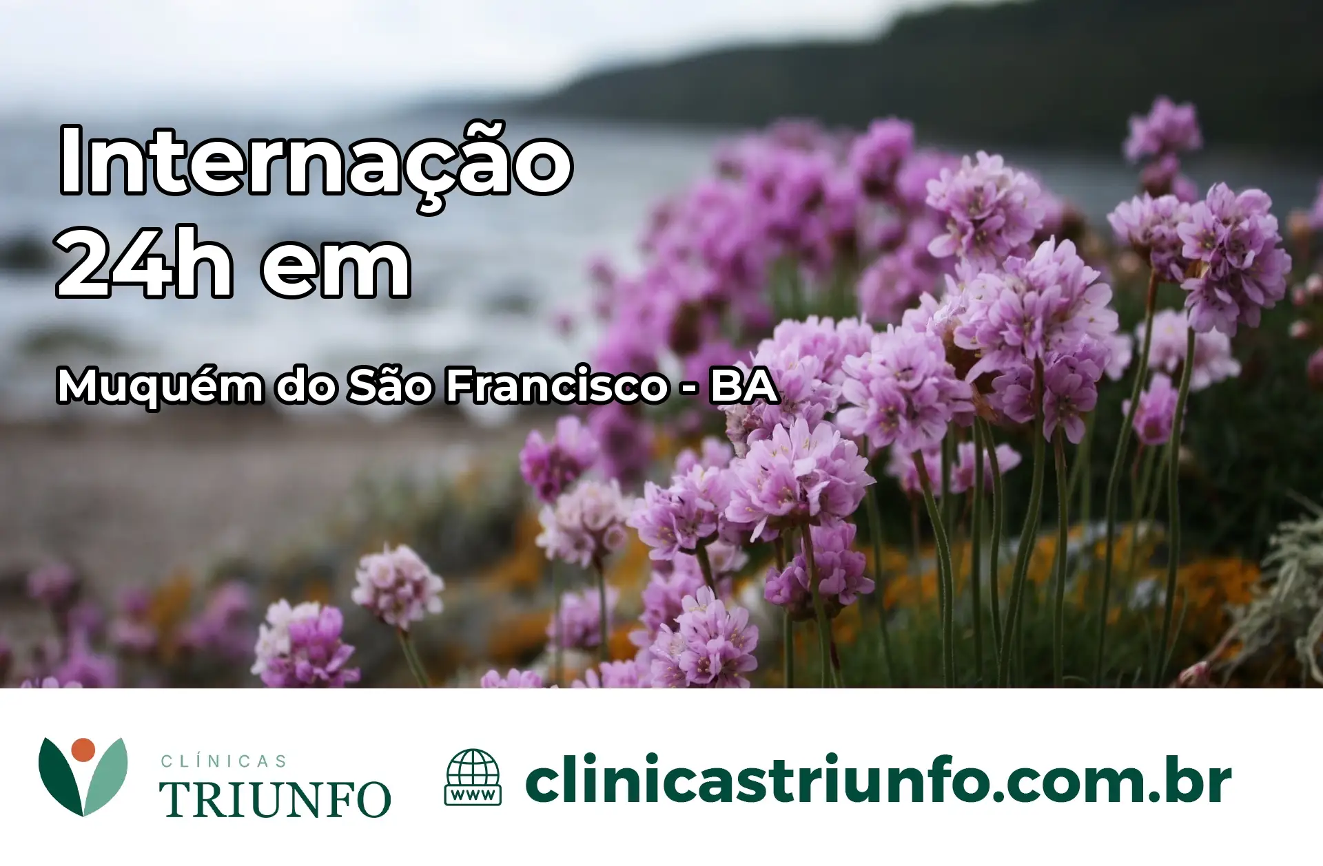 Internação 24 horas em Muquém do São Francisco – BA