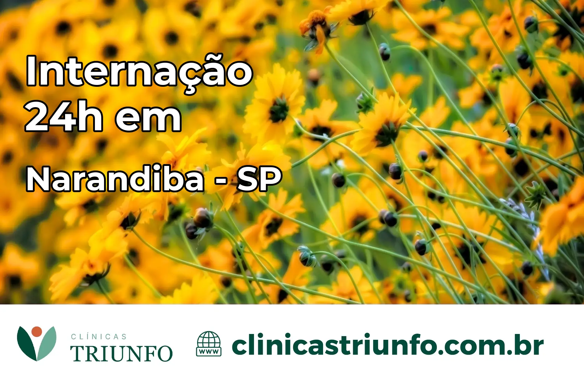 Internação 24 horas em Narandiba – SP