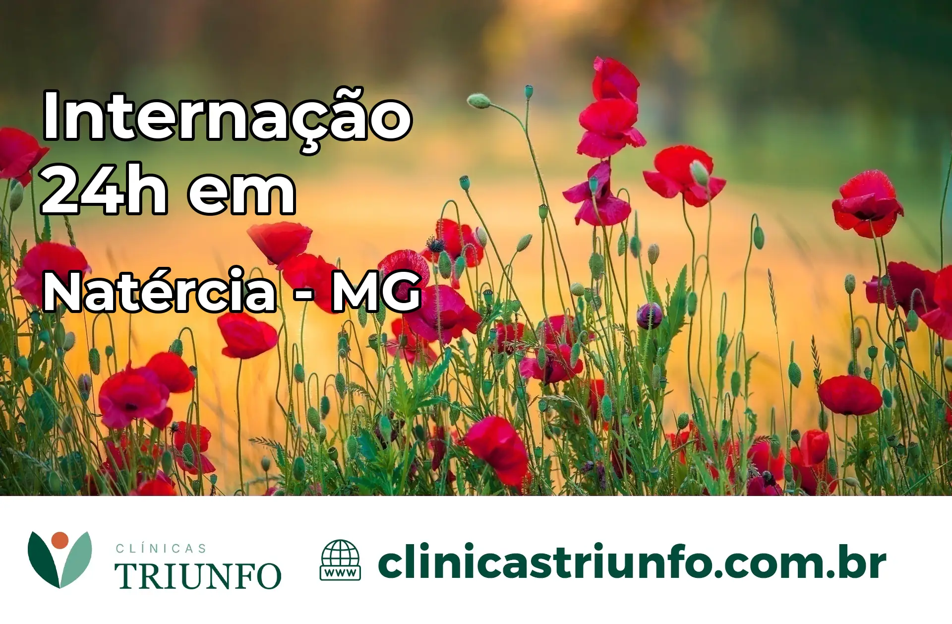 Internação 24 horas em Natércia – MG