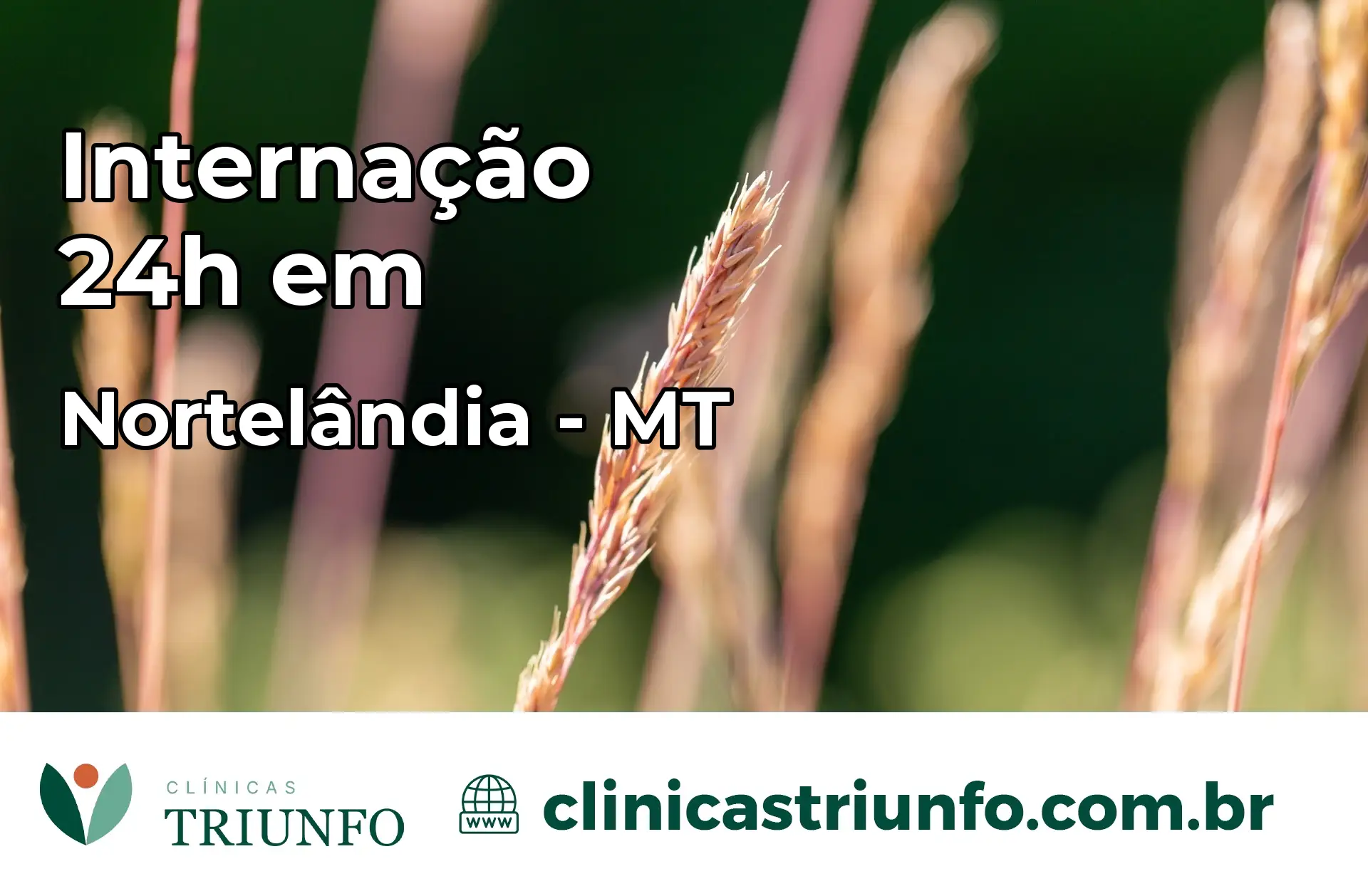 Internação 24 horas em Nortelândia – MT