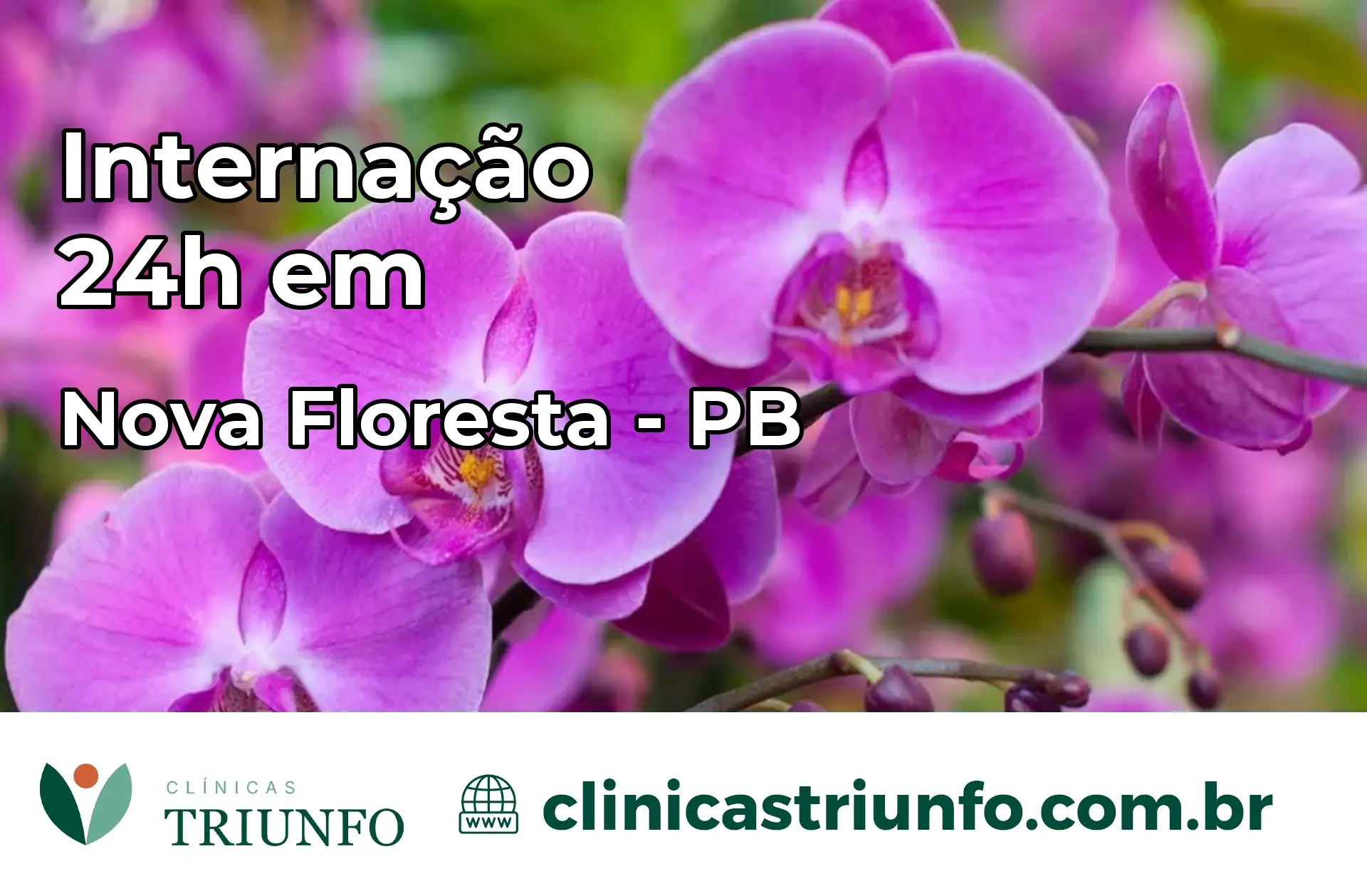 Internação 24 horas em Nova Floresta – PB