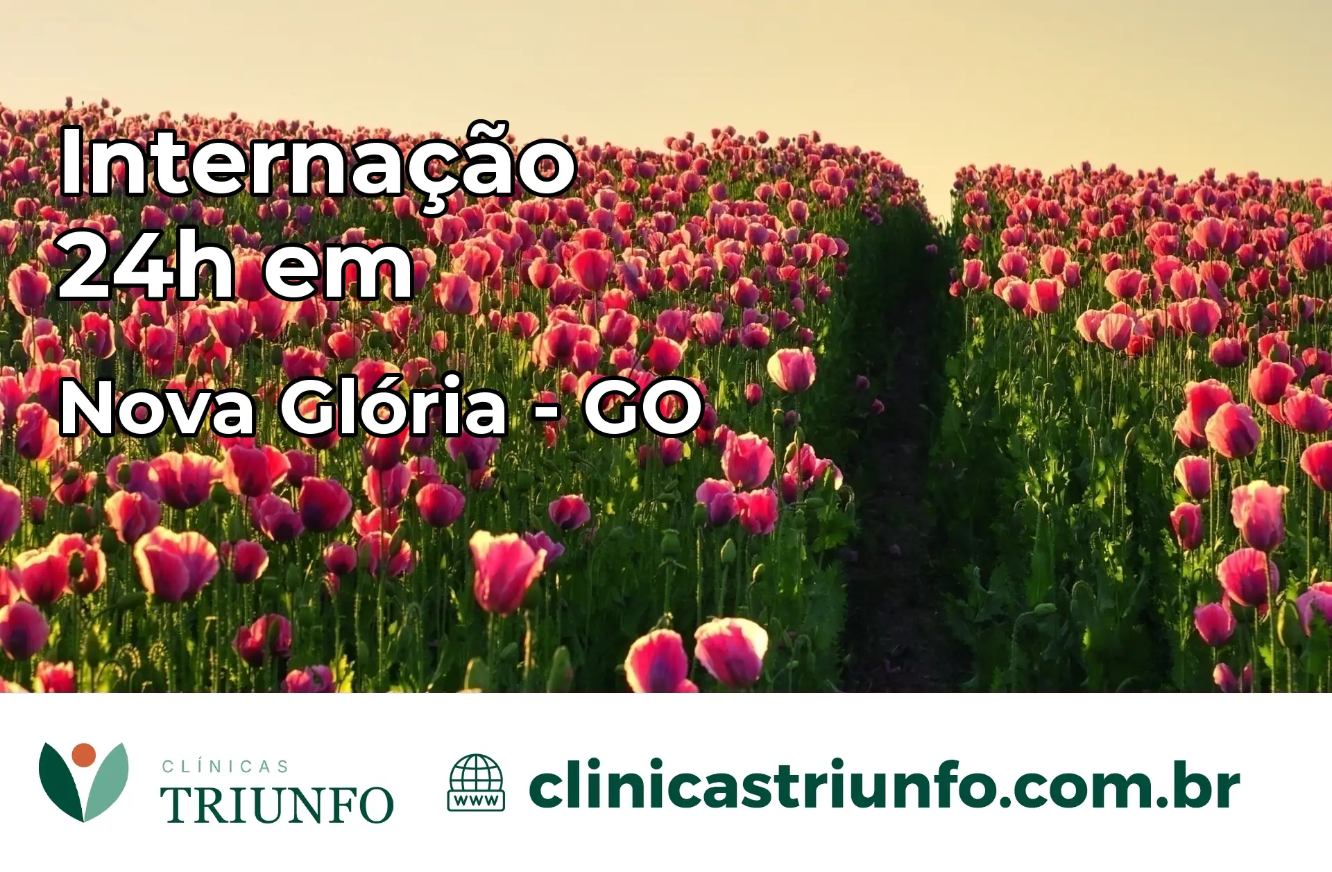 Internação 24 horas em Nova Glória – GO