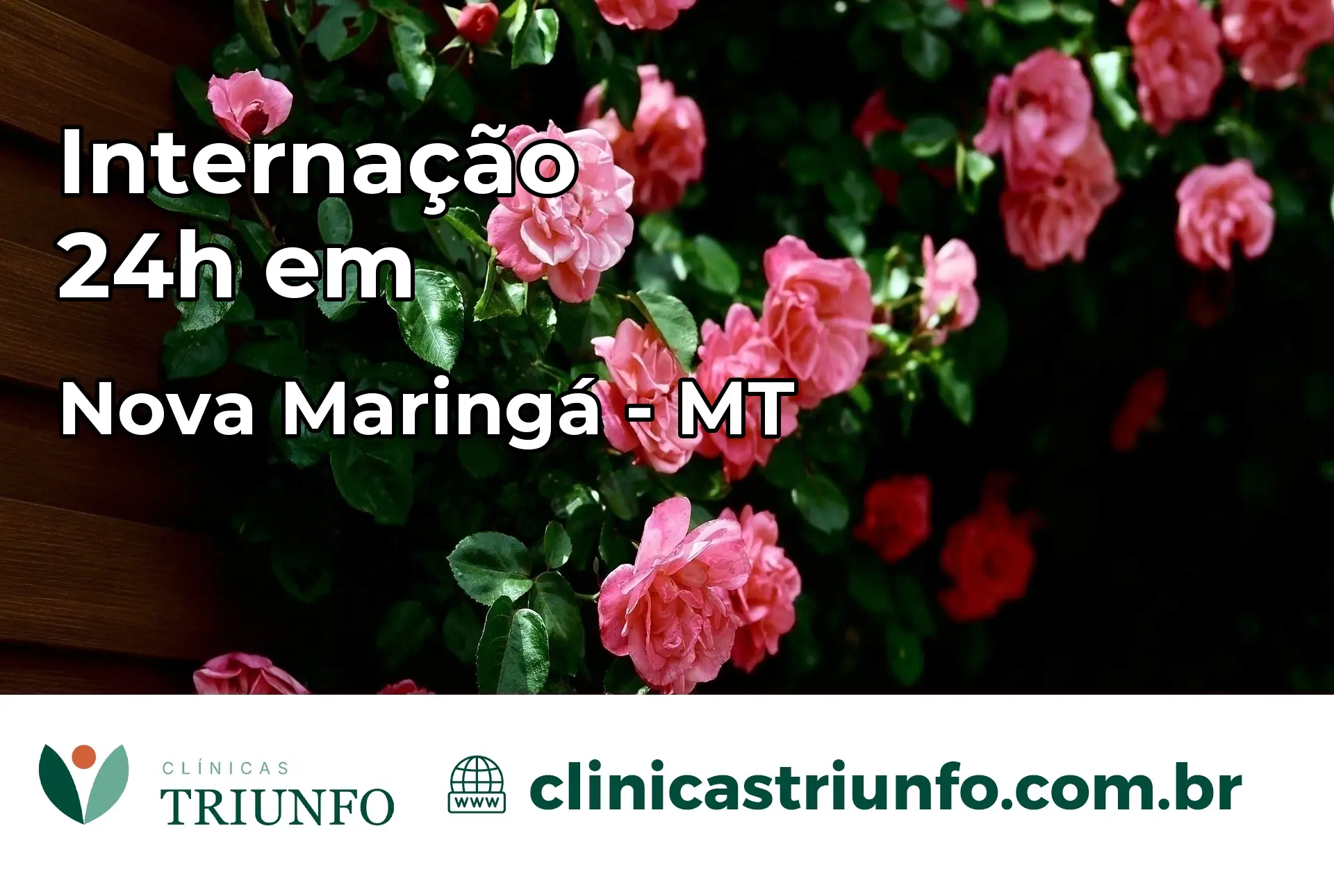 Internação 24 horas em Nova Maringá – MT