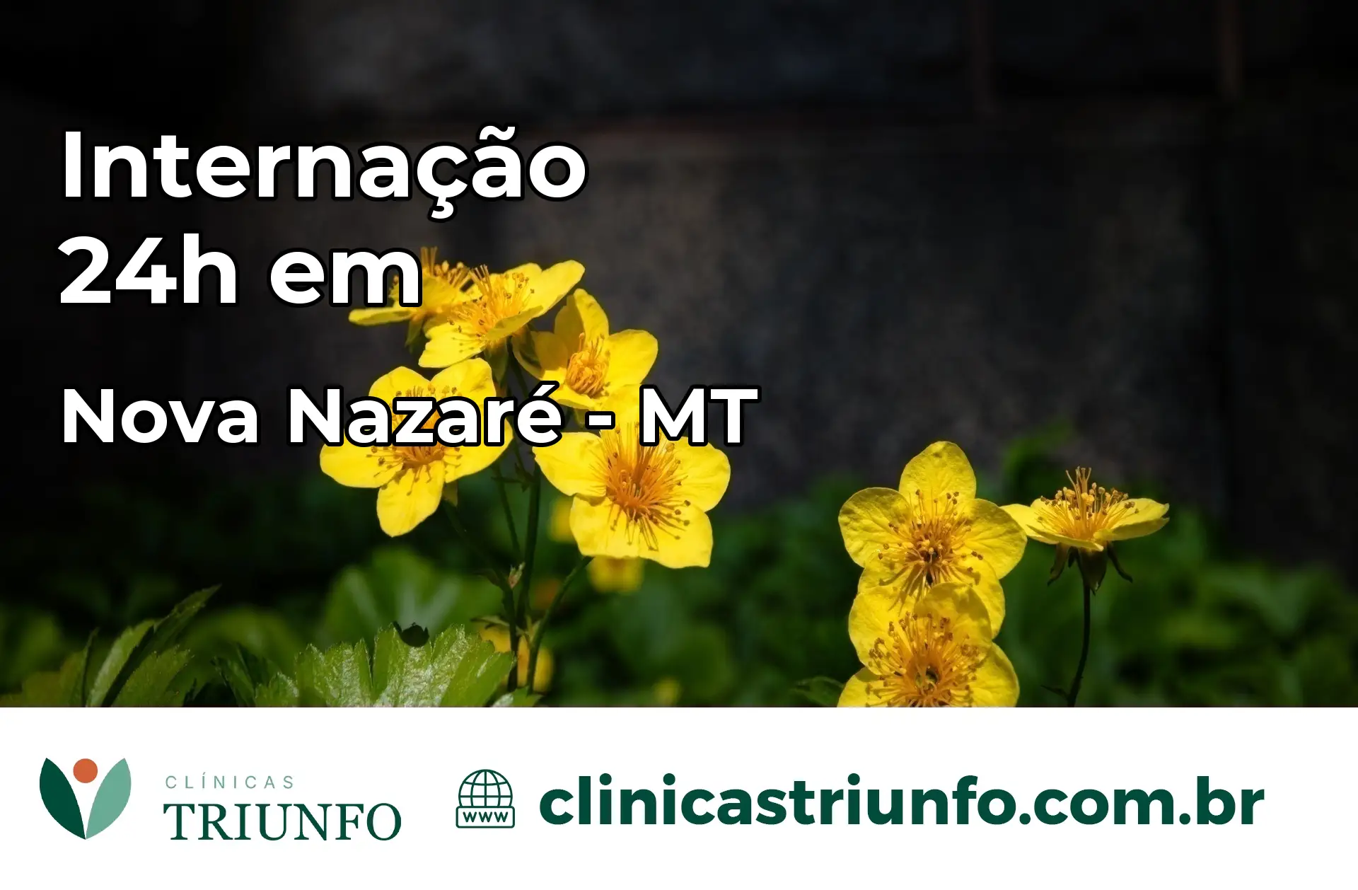 Internação 24 horas em Nova Nazaré – MT