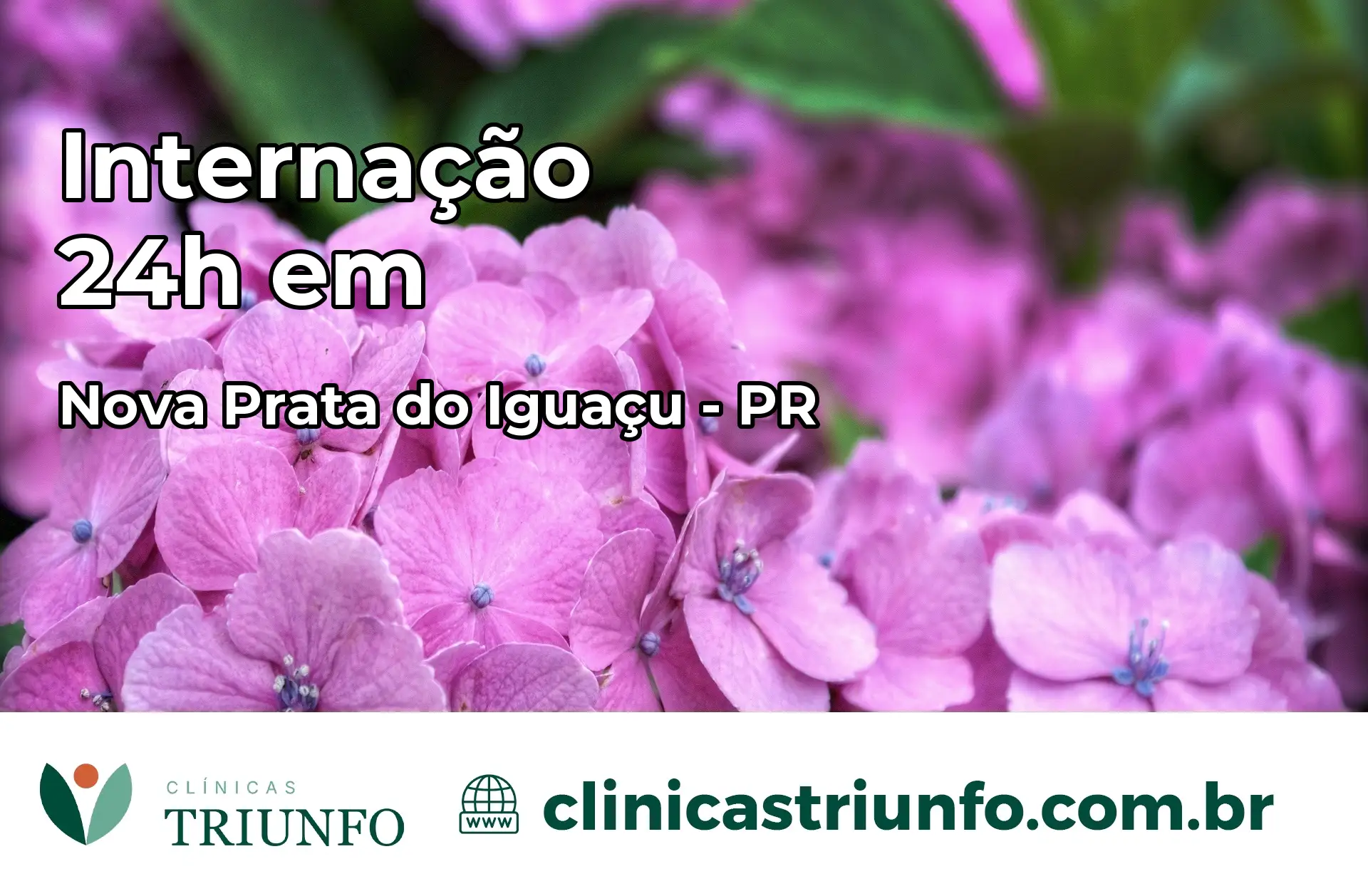 Internação 24 horas em Nova Prata do Iguaçu – PR